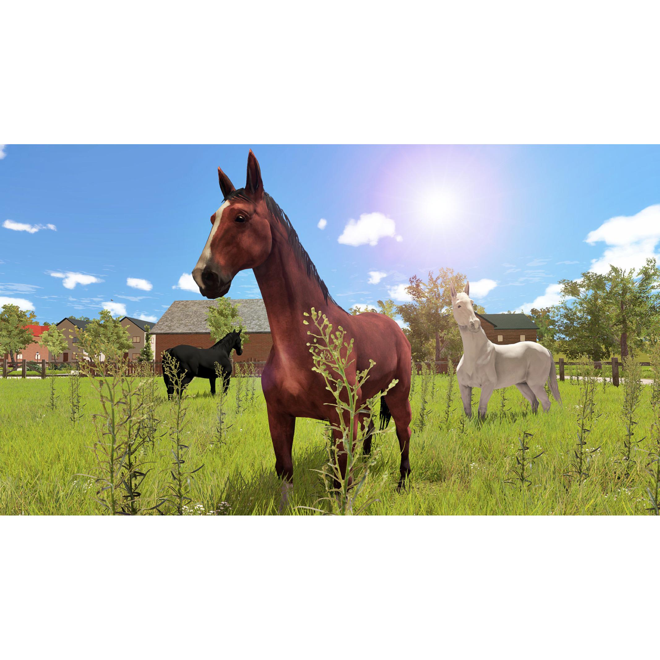 Voir la diapositive 6 : My Little Riding Champion PS4