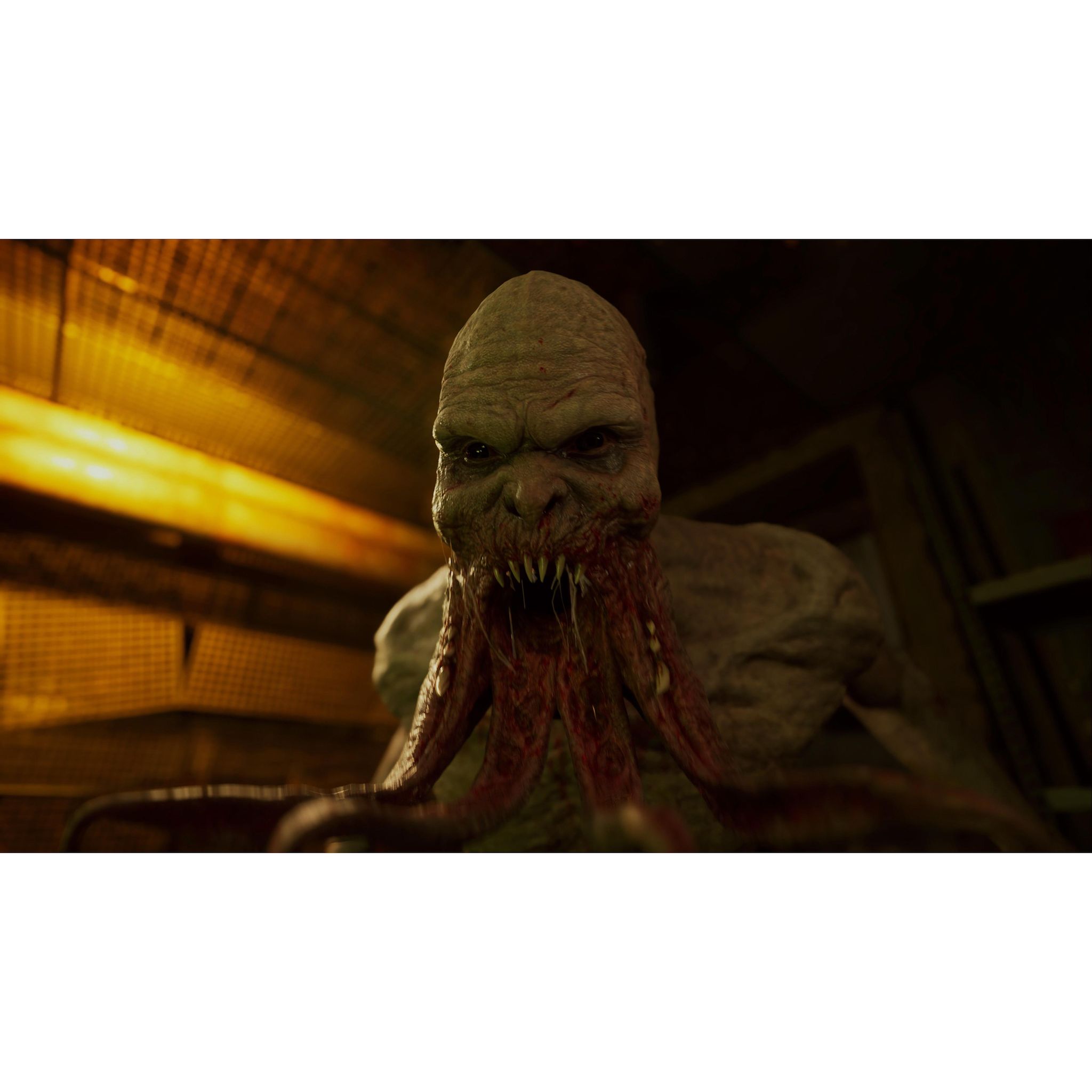 Voir la diapositive 5 : WTT S.t.a.l.k.e.r. 2 : Heart Of Chornobyl Day One Edition PS5