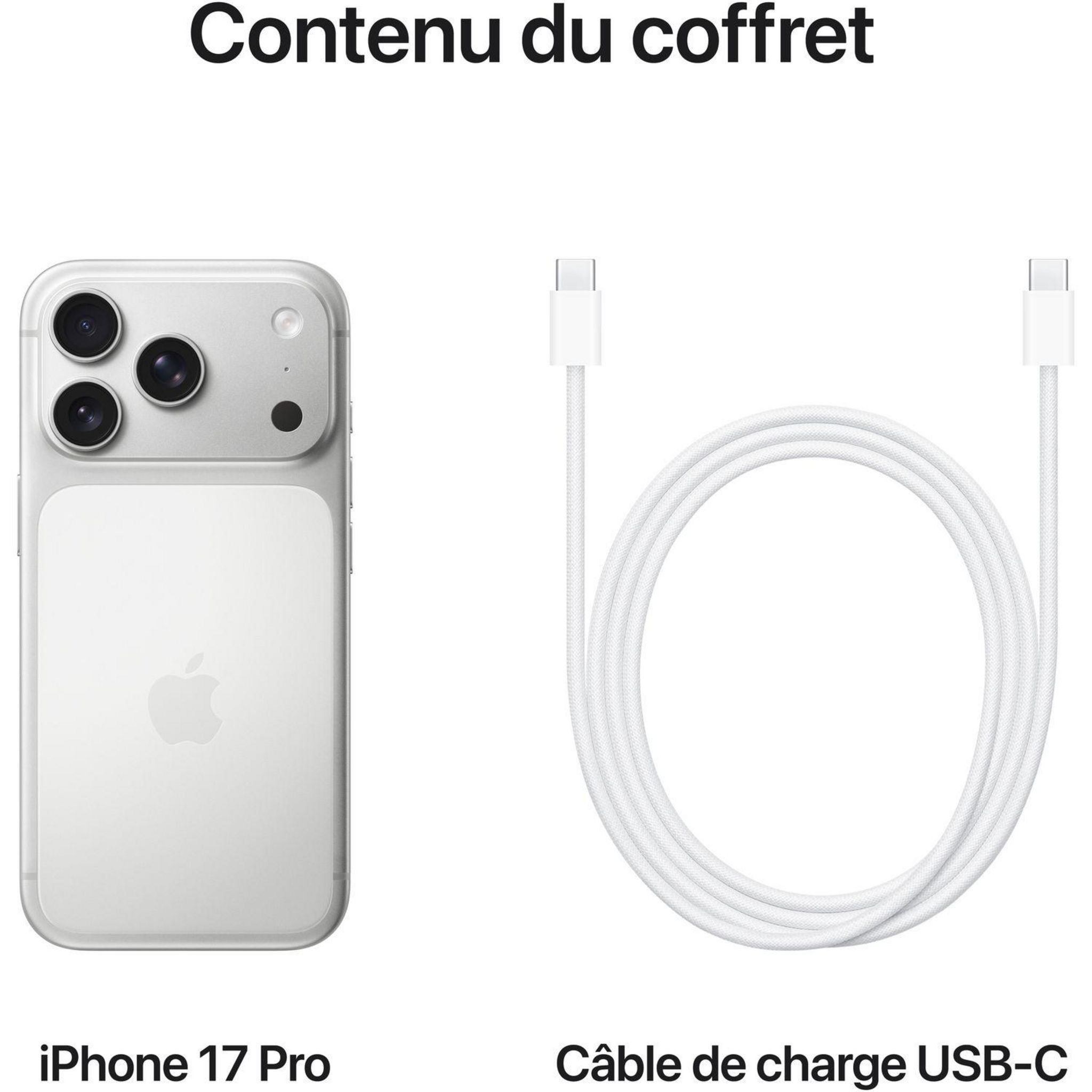 Voir la diapositive 8 : APPLE iPhone 17 Pro 256Go - Argent