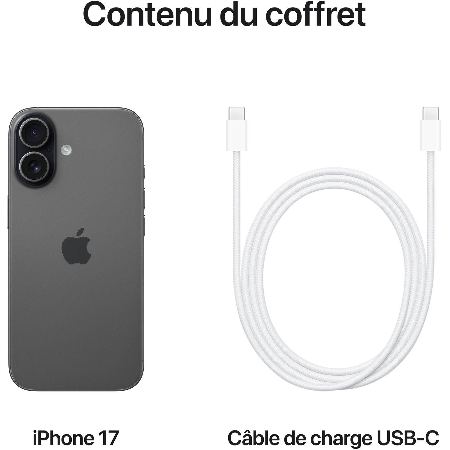 Voir la diapositive 8 : APPLE iPhone 17 256Go - Noir