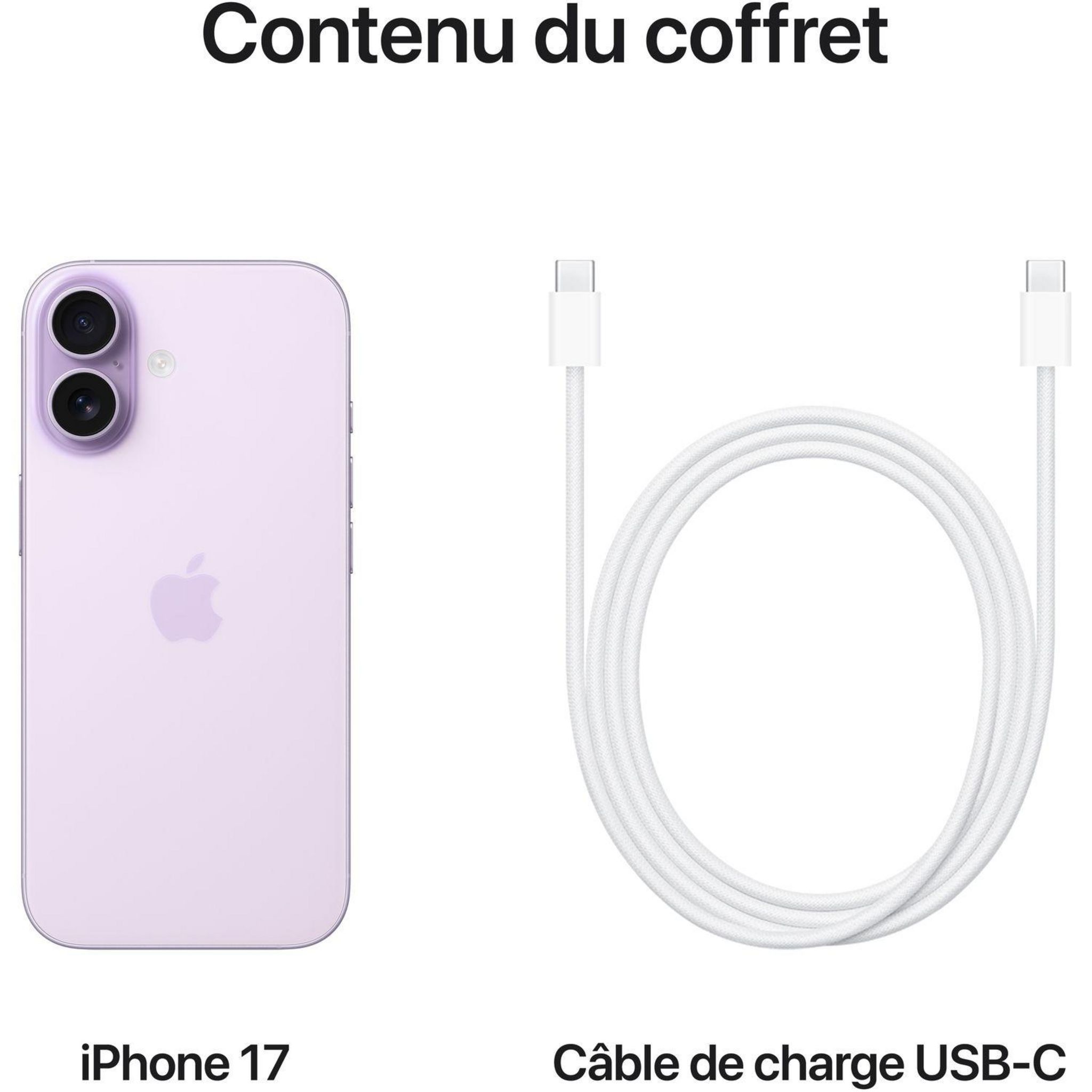 Voir la diapositive 8 : APPLE iPhone 17 256Go - Lavande
