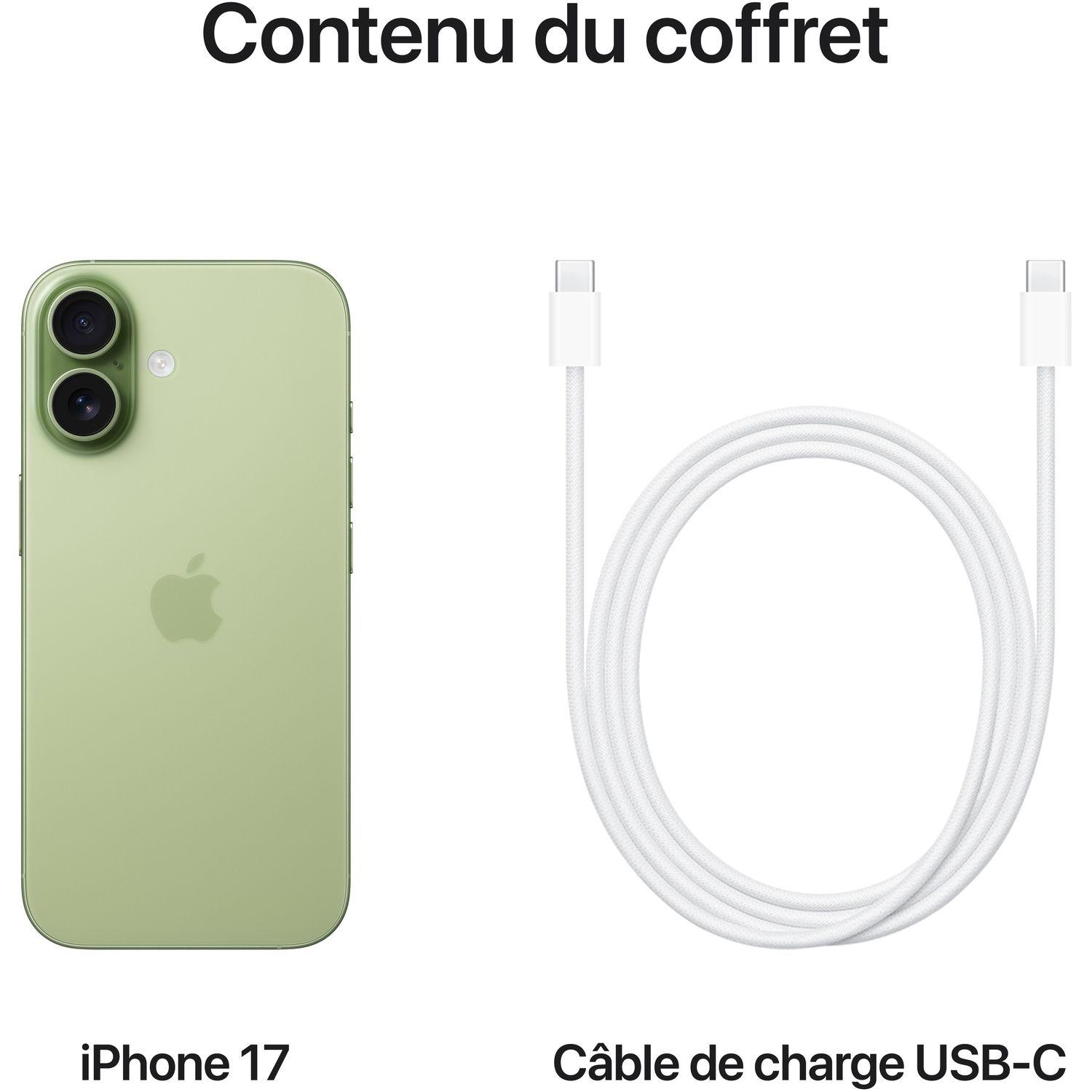 Voir la diapositive 8 : APPLE iPhone 17 256Go - Sauge