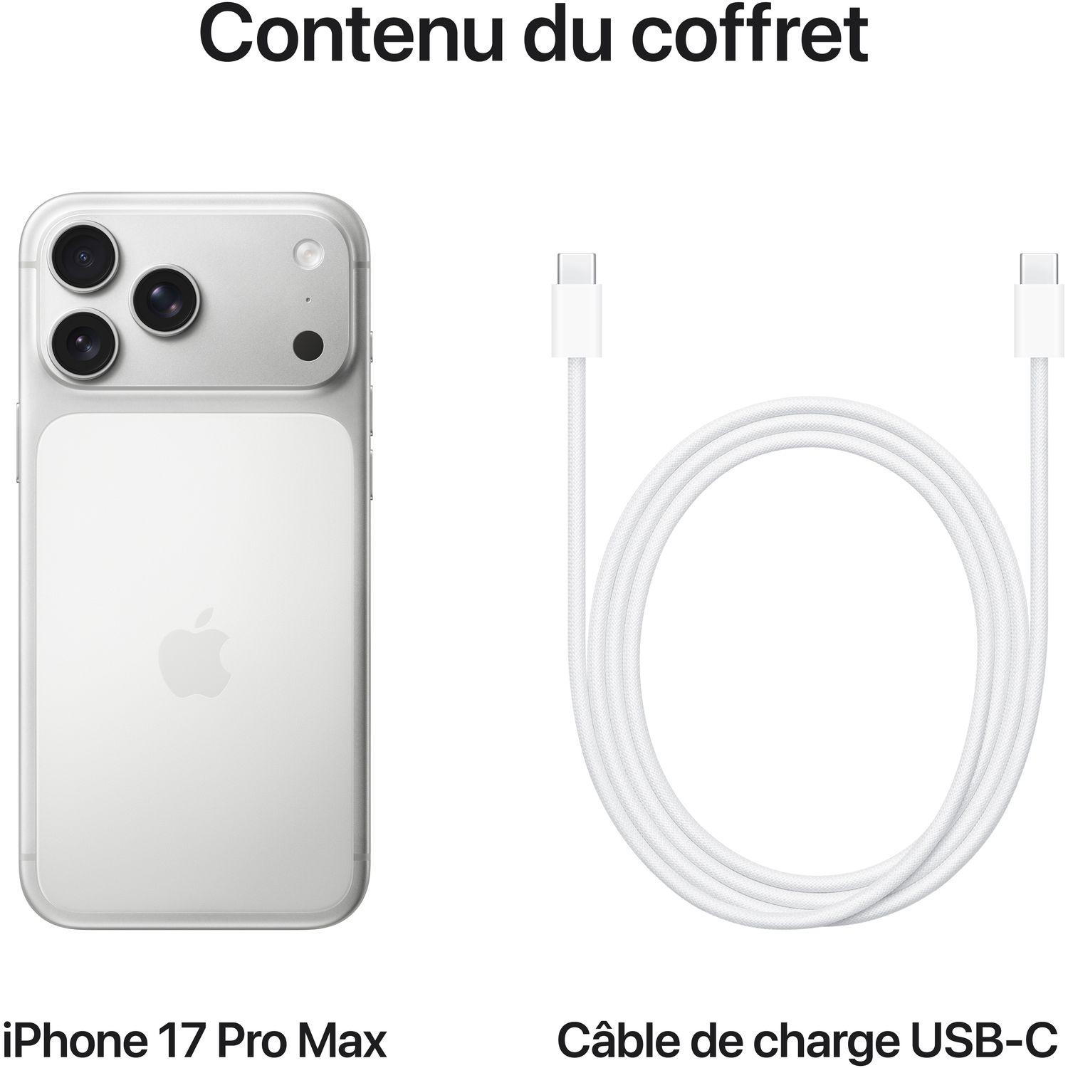 Voir la diapositive 8 : APPLE iPhone 17 Pro Max 256Go - Argent