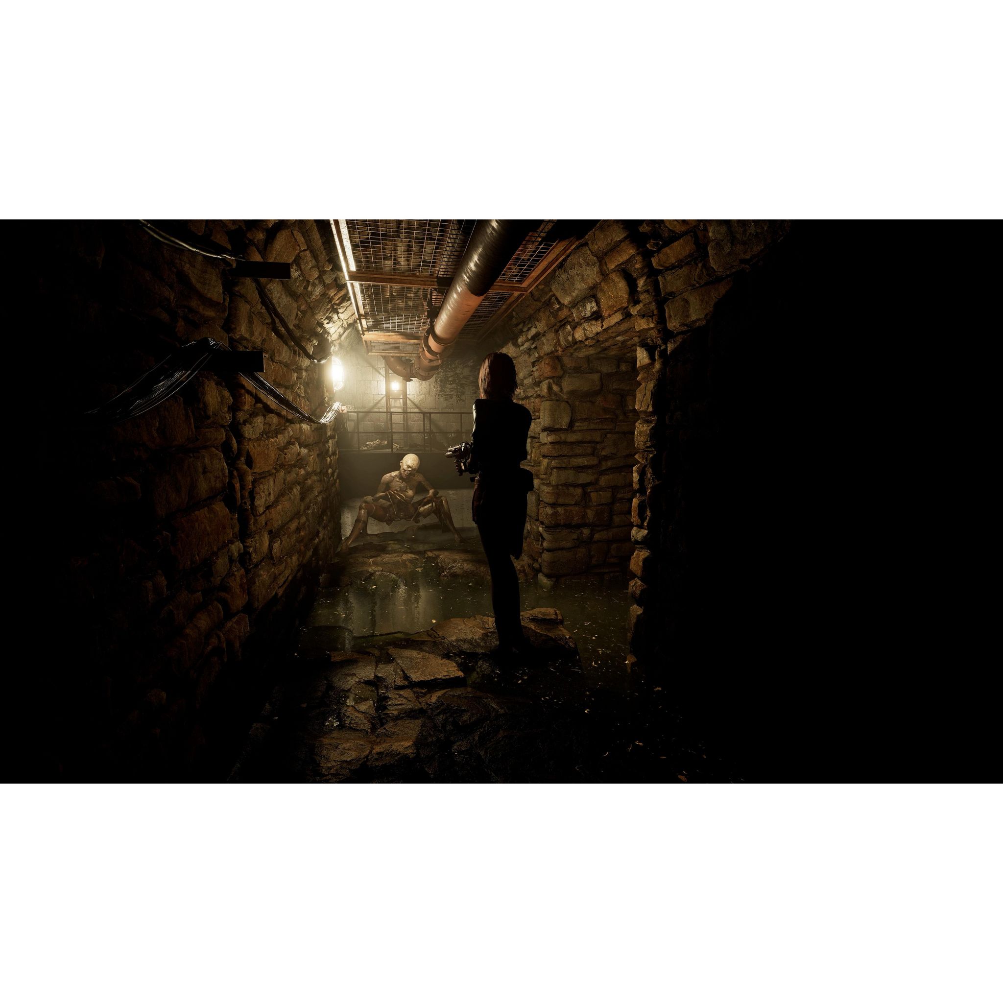 Voir la diapositive 2 : Tormented Souls 2 PS5