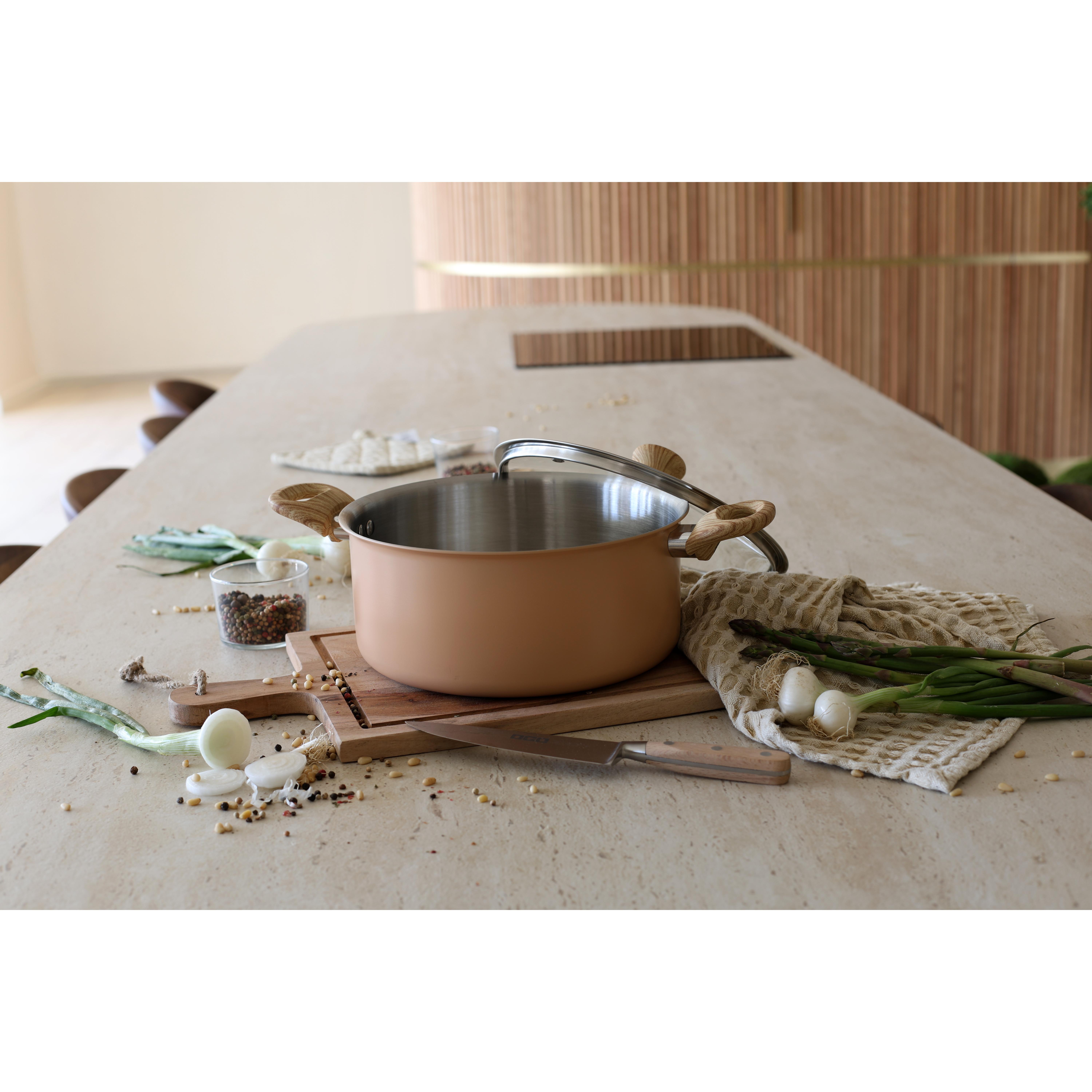 Voir la diapositive 3 : LEBRUN Faitout + couvercle 24cm en aluminium et inox menastyl