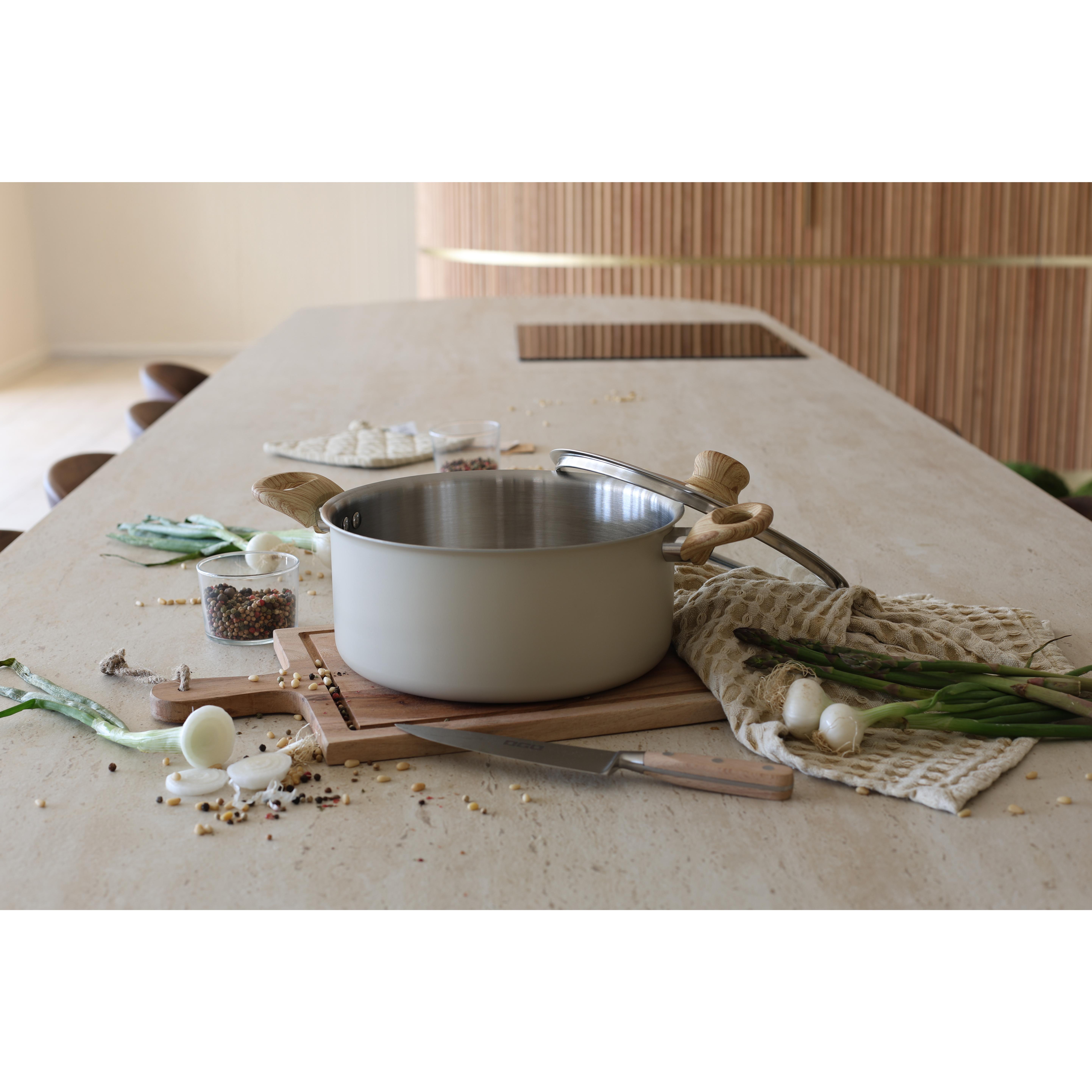 Voir la diapositive 8 : LEBRUN Faitout + couvercle 24cm en aluminium et inox menastyl