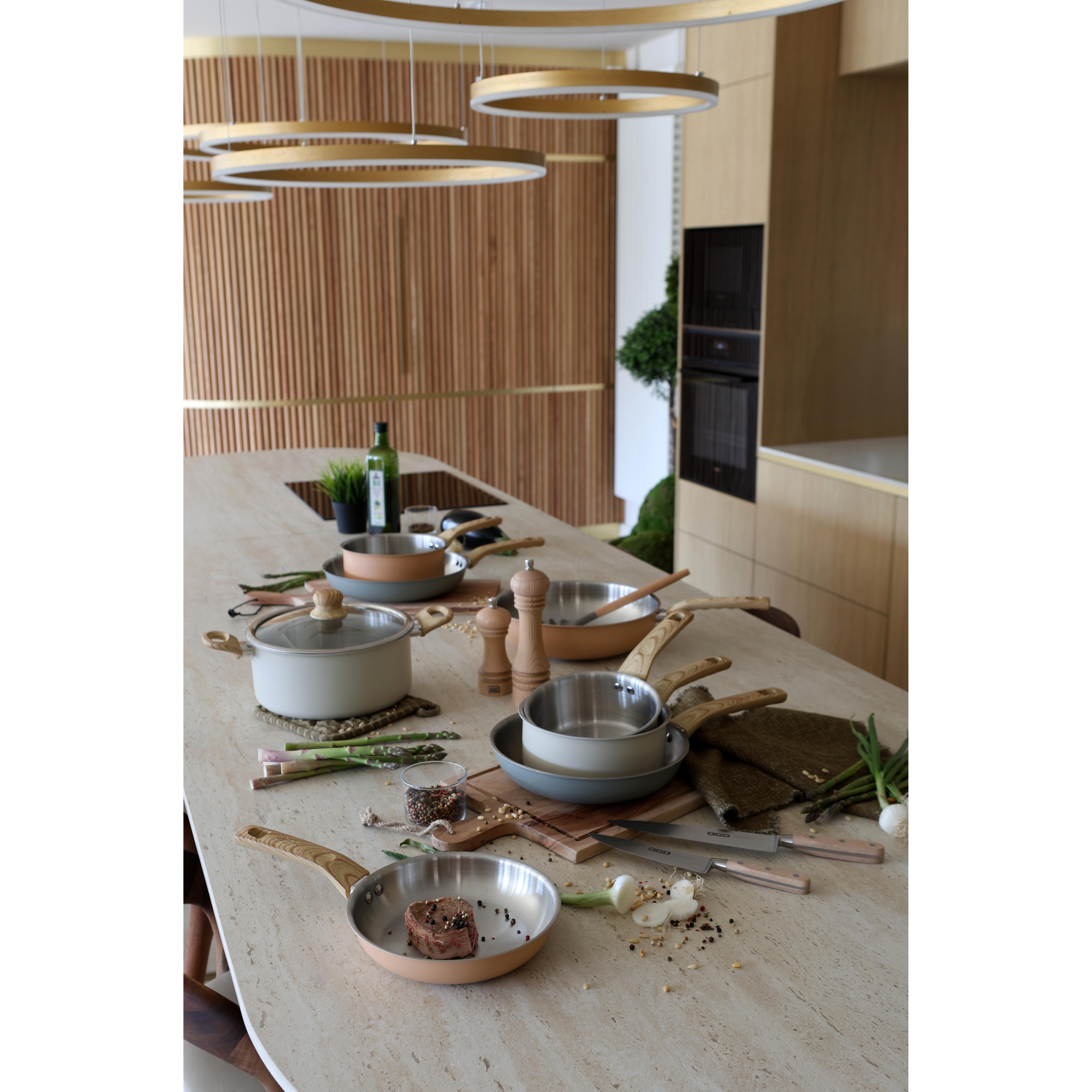 Voir la diapositive 4 : LEBRUN Poêle 28cm en aluminium et inox menastyl