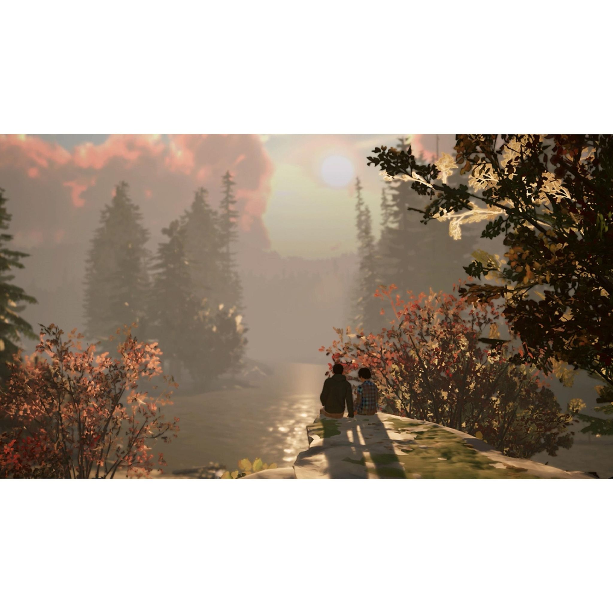 Voir la diapositive 4 : SQUARE ENIX Life Is Strange 2 Code de téléchargement Nintendo Switch