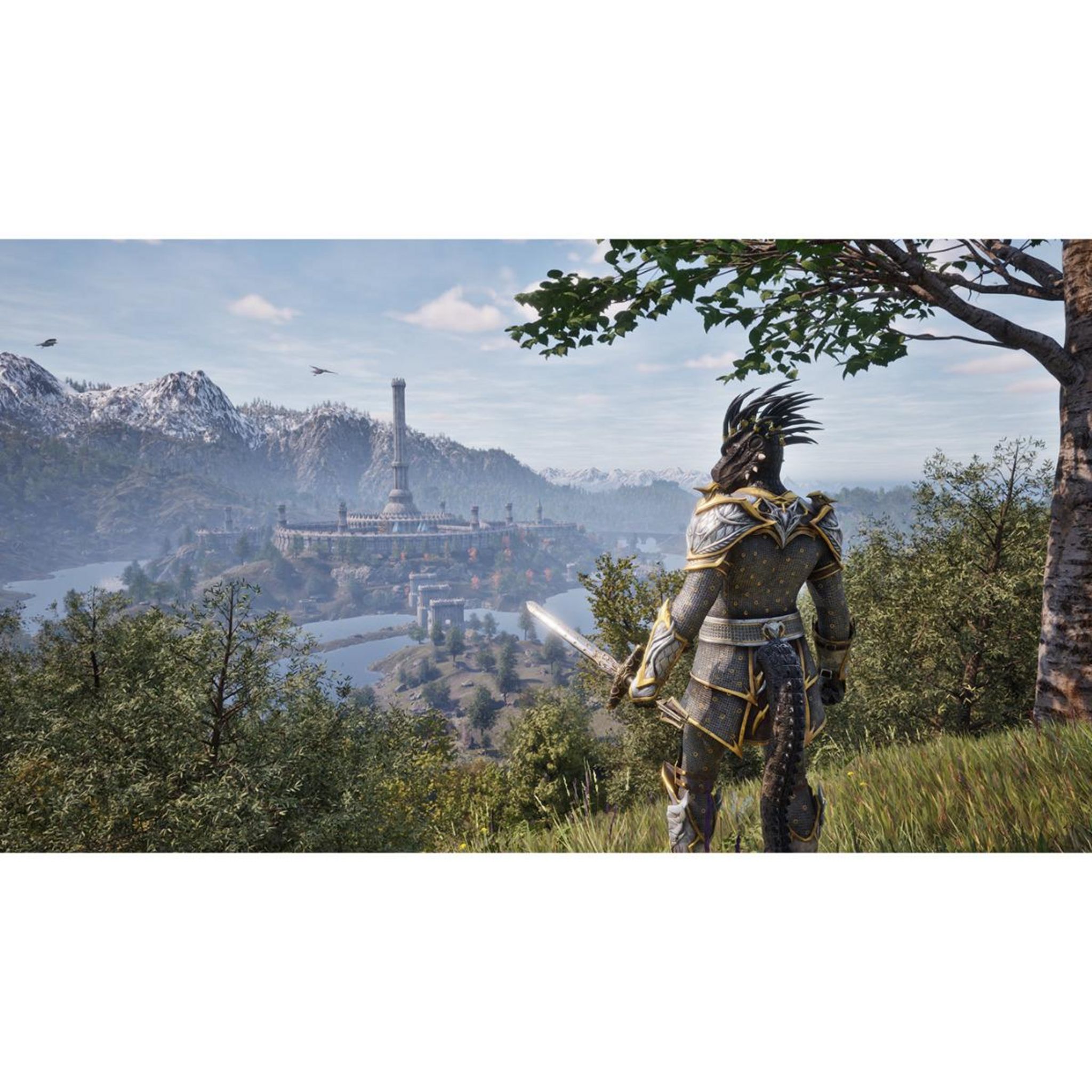 Voir la diapositive 2 : The Elder Scrolls IV : Oblivion Remastered - Deluxe Edition PS5