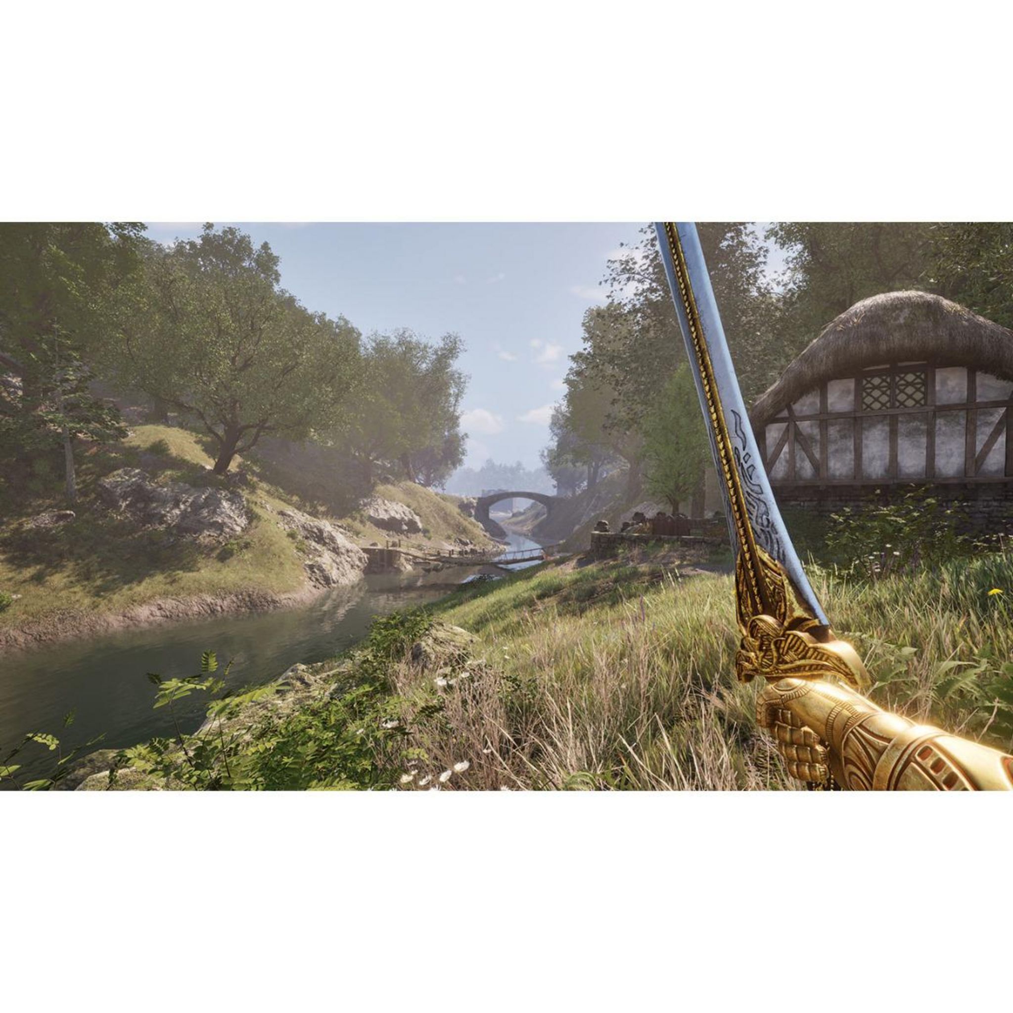 Voir la diapositive 4 : The Elder Scrolls IV : Oblivion Remastered - Deluxe Edition PS5