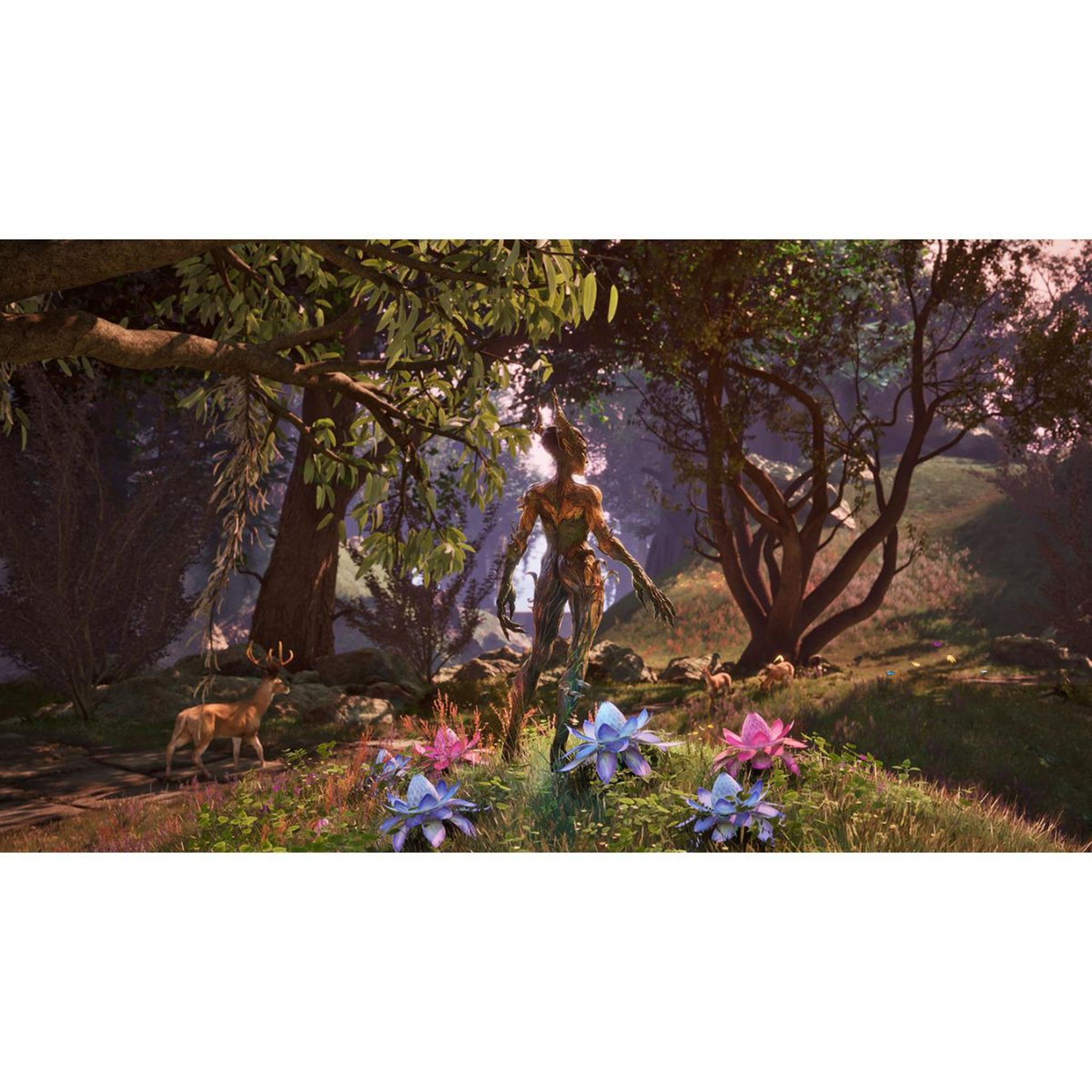 Voir la diapositive 5 : The Elder Scrolls IV : Oblivion Remastered - Deluxe Edition PS5