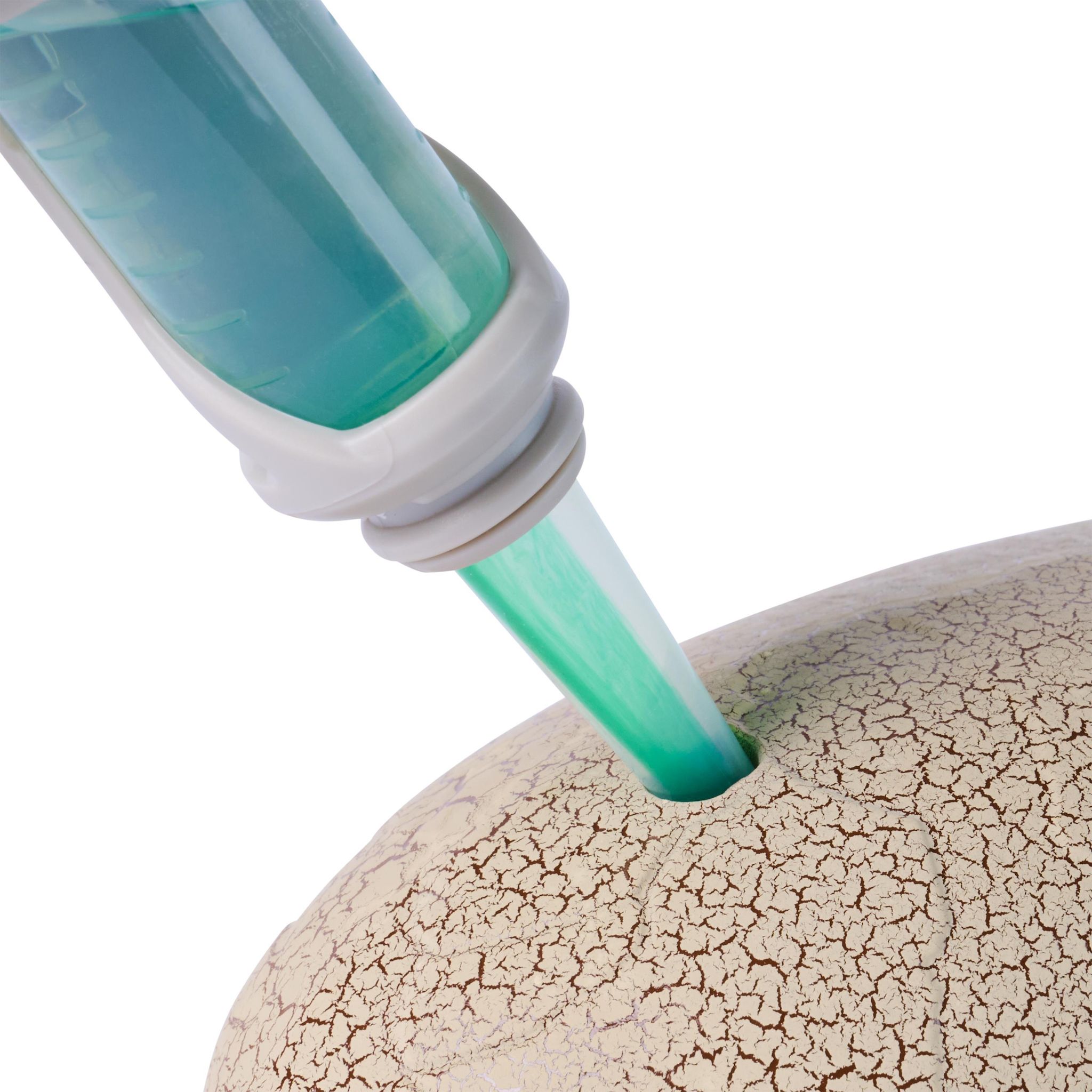 Voir la diapositive 3 : SPIN MASTER Dino éclosion surprise Pirmal Hatch