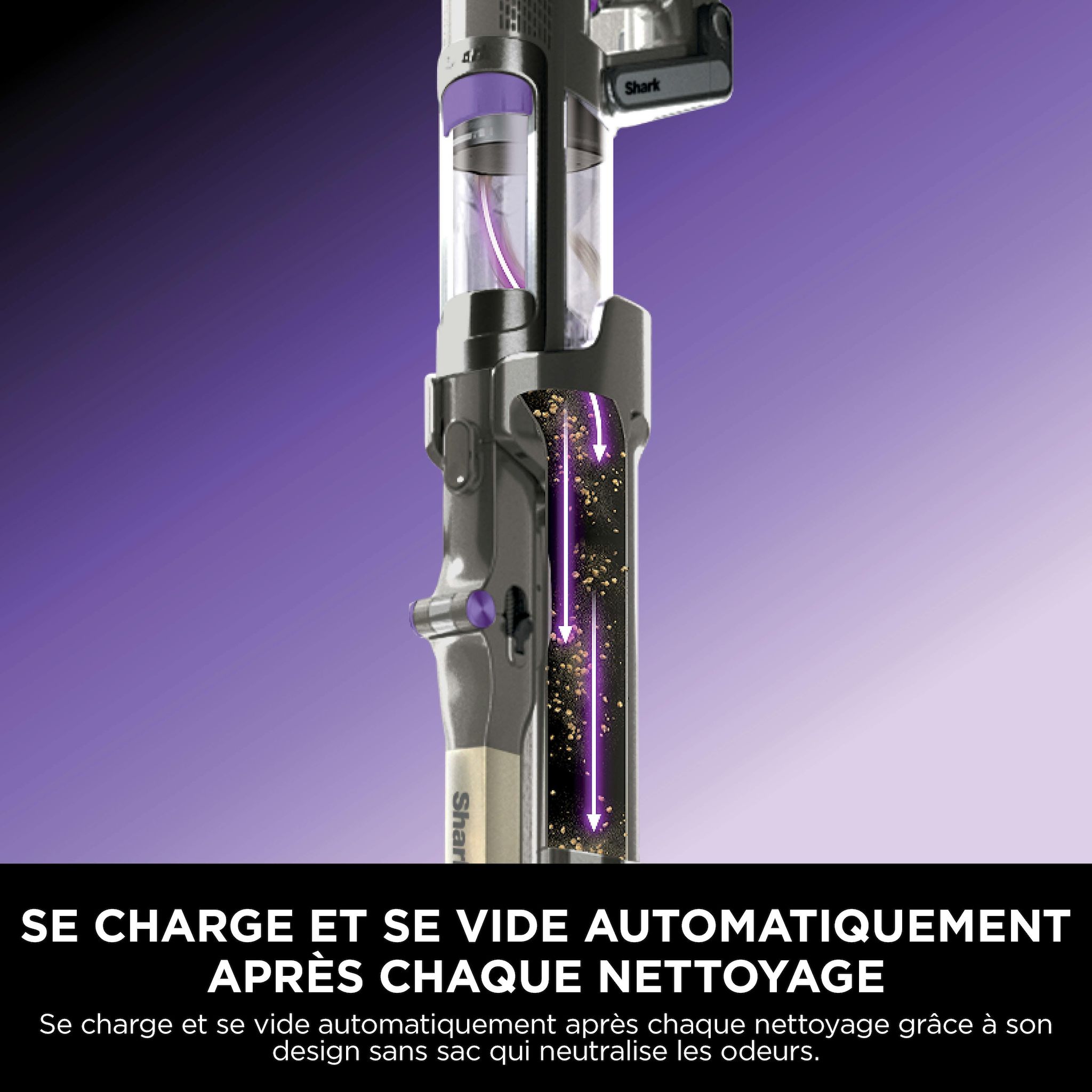 Voir la diapositive 6 : SHARK Aspirateur balai IP3251EUT - Gris