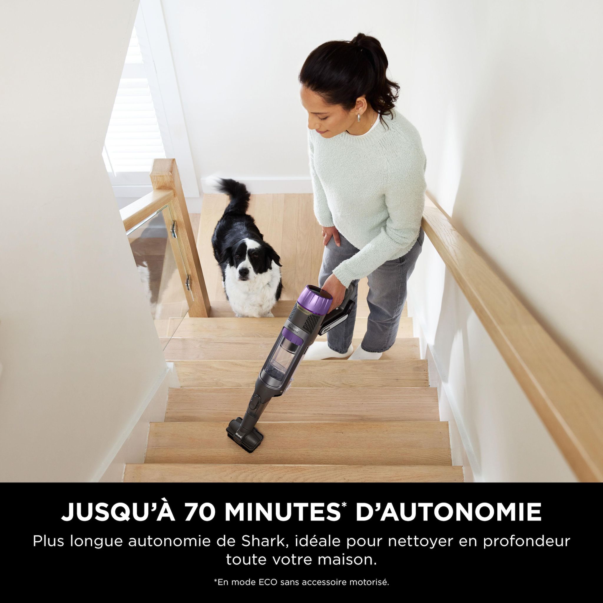 Voir la diapositive 10 : SHARK Aspirateur balai IP3251EUT - Gris