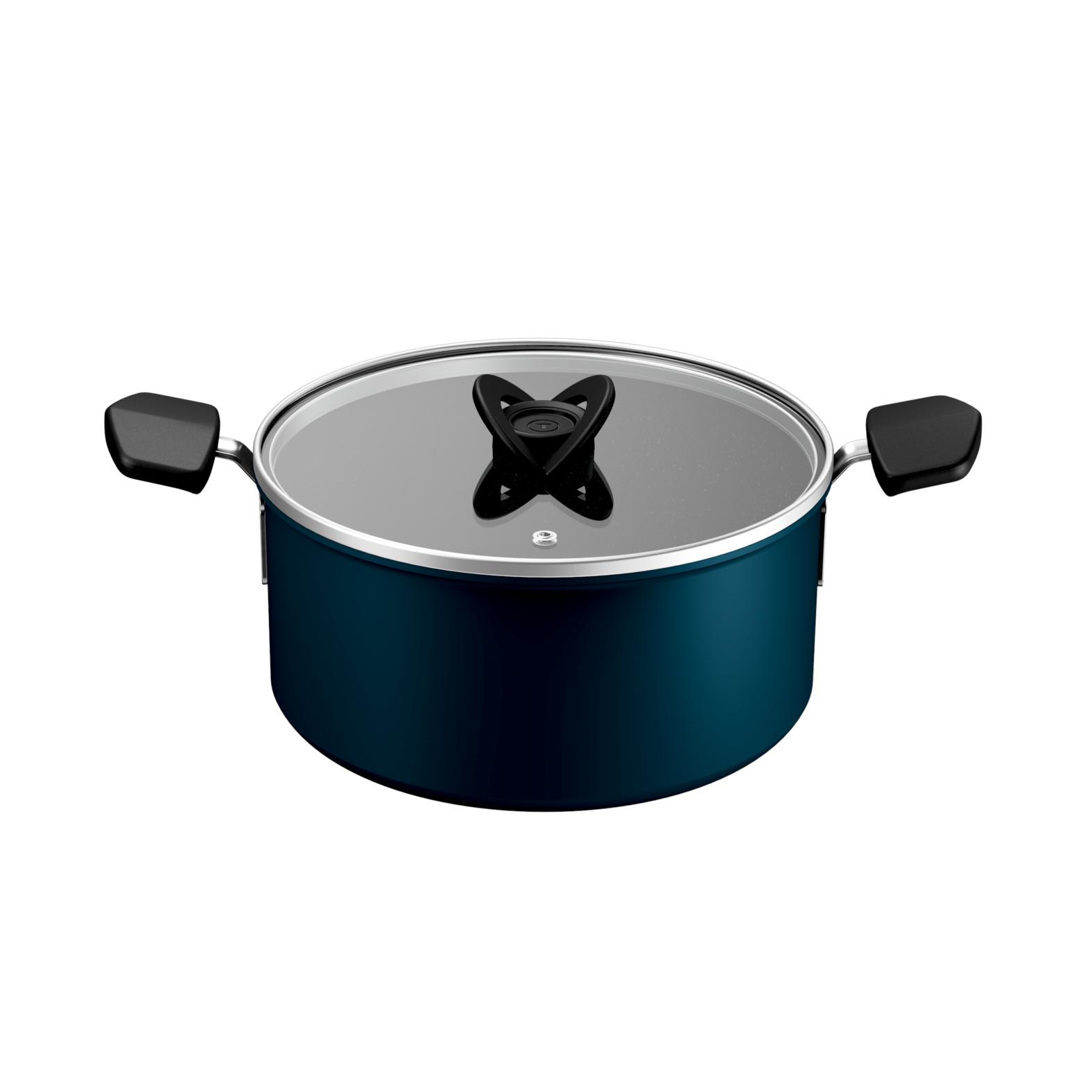 TEFAL Faitout 24cm + couvercle expertise fixe