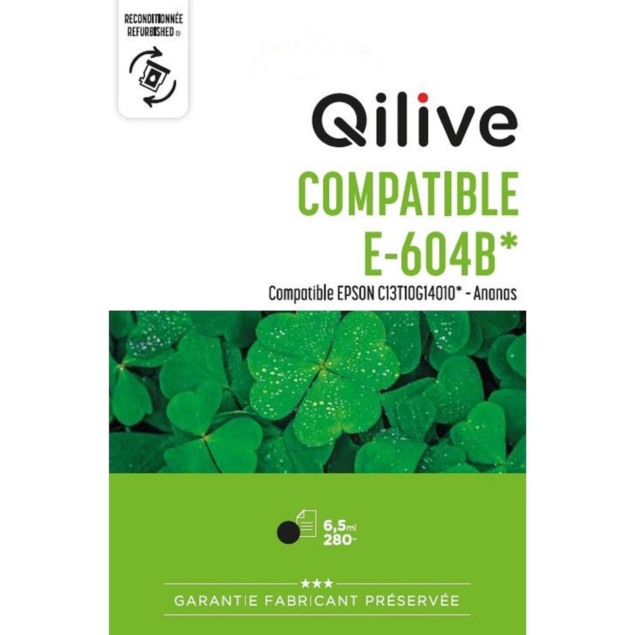 QILIVE Cartouche d'encre pour Epson E-604 - Noir