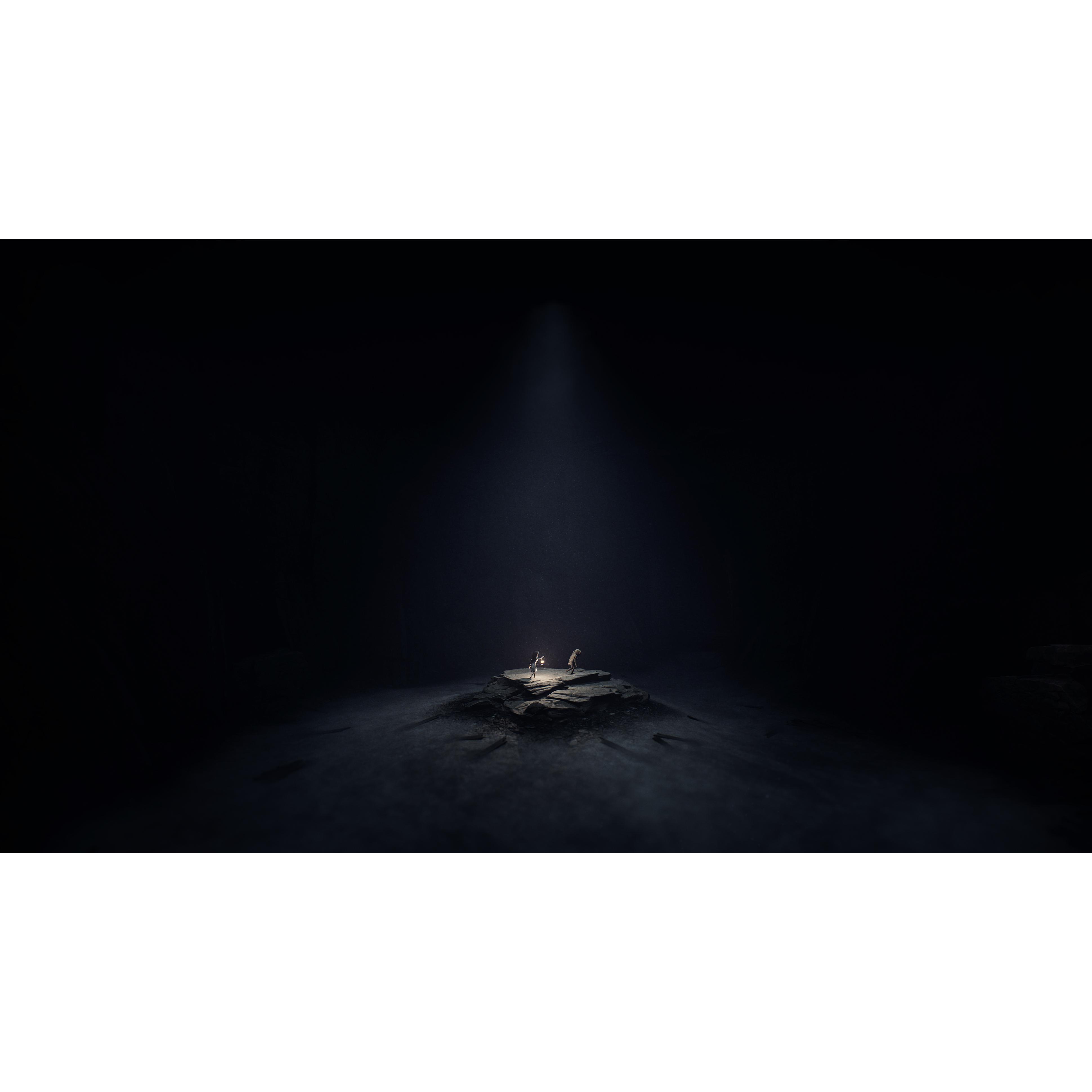 Voir la diapositive 5 : Reanimal PS5