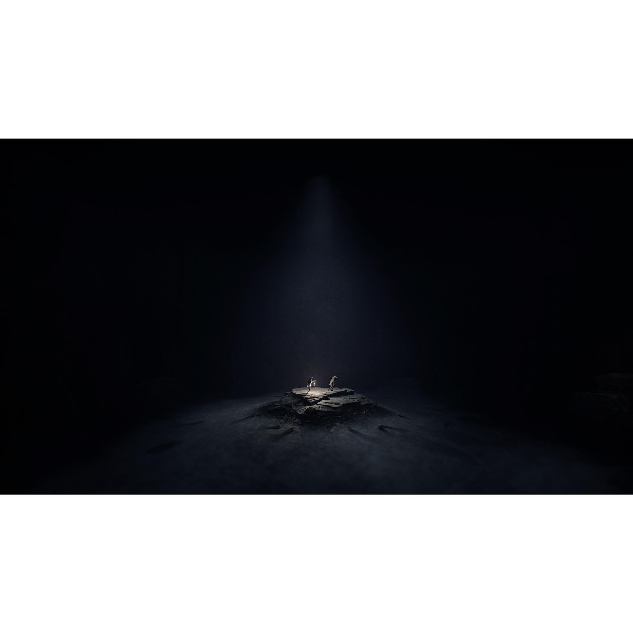 Voir la diapositive 5 : Reanimal PS5