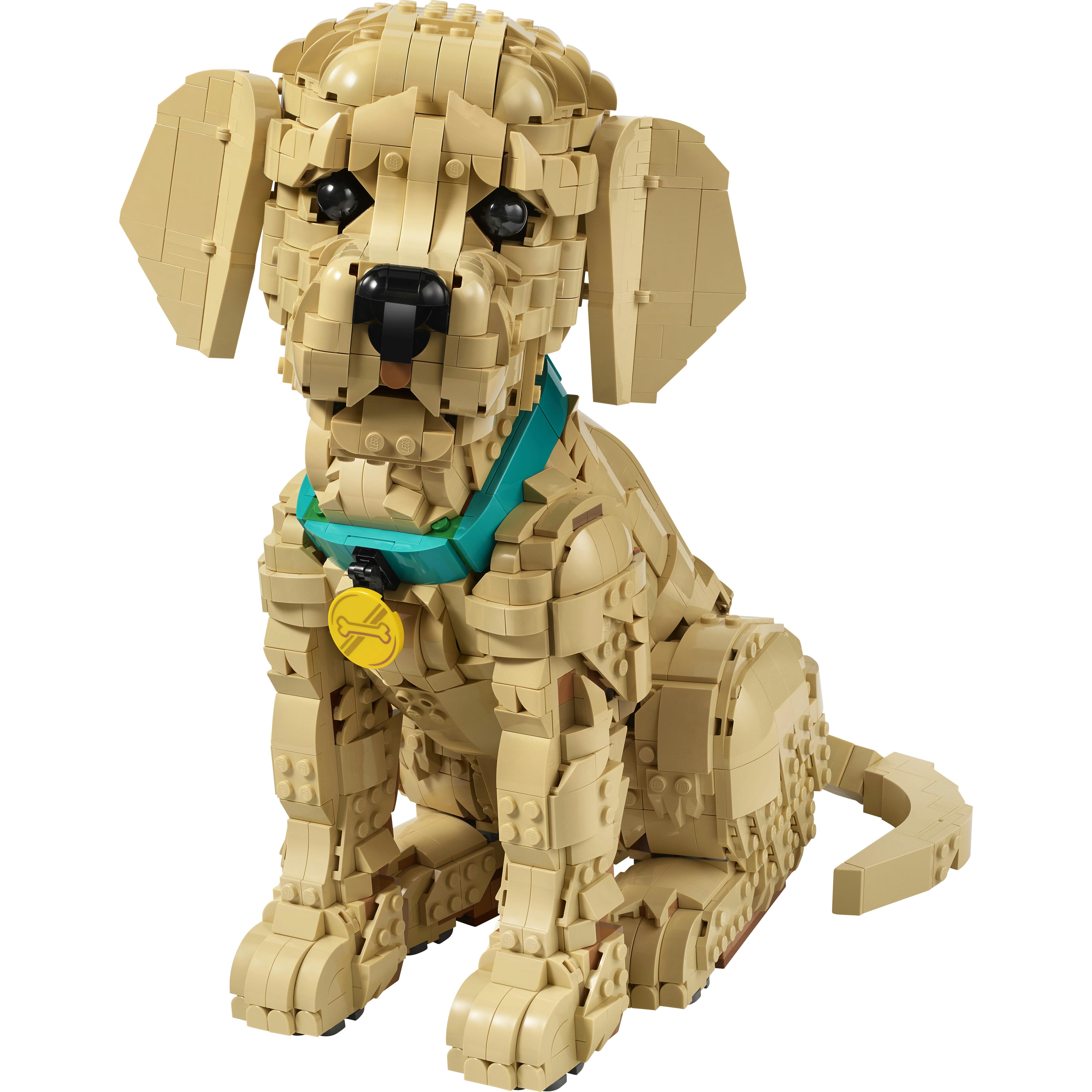 Voir la diapositive 2 : LEGO LEGO Icons 11384 Le Chiot Golden Retriever - Set pour Adulte - Maquette de Petit Chien