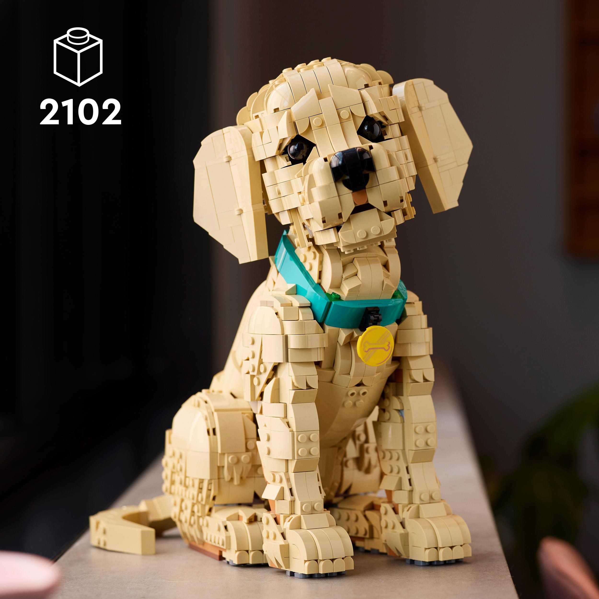 Voir la diapositive 3 : LEGO LEGO Icons 11384 Le Chiot Golden Retriever - Set pour Adulte - Maquette de Petit Chien