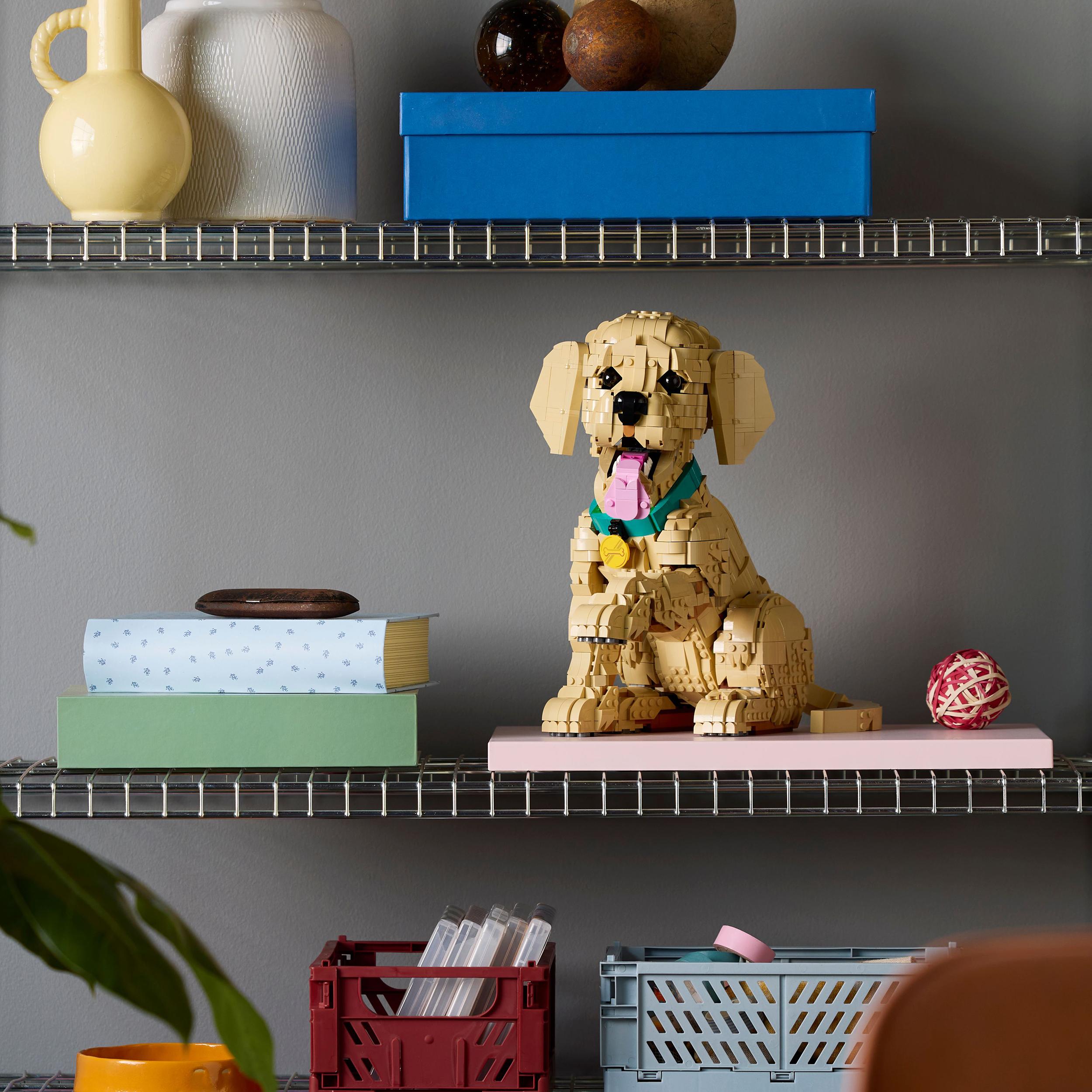 Voir la diapositive 4 : LEGO LEGO Icons 11384 Le Chiot Golden Retriever - Set pour Adulte - Maquette de Petit Chien