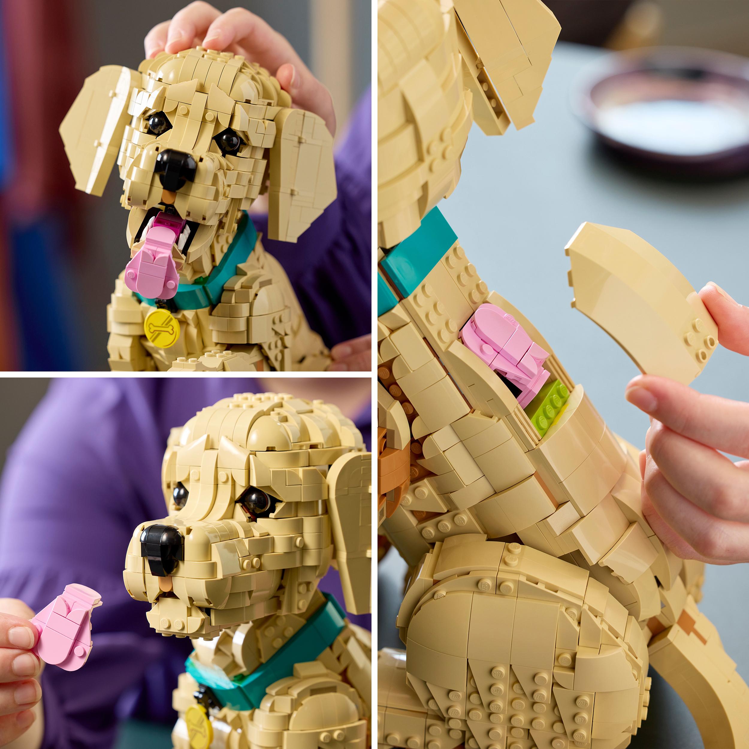 Voir la diapositive 5 : LEGO LEGO Icons 11384 Le Chiot Golden Retriever - Set pour Adulte - Maquette de Petit Chien