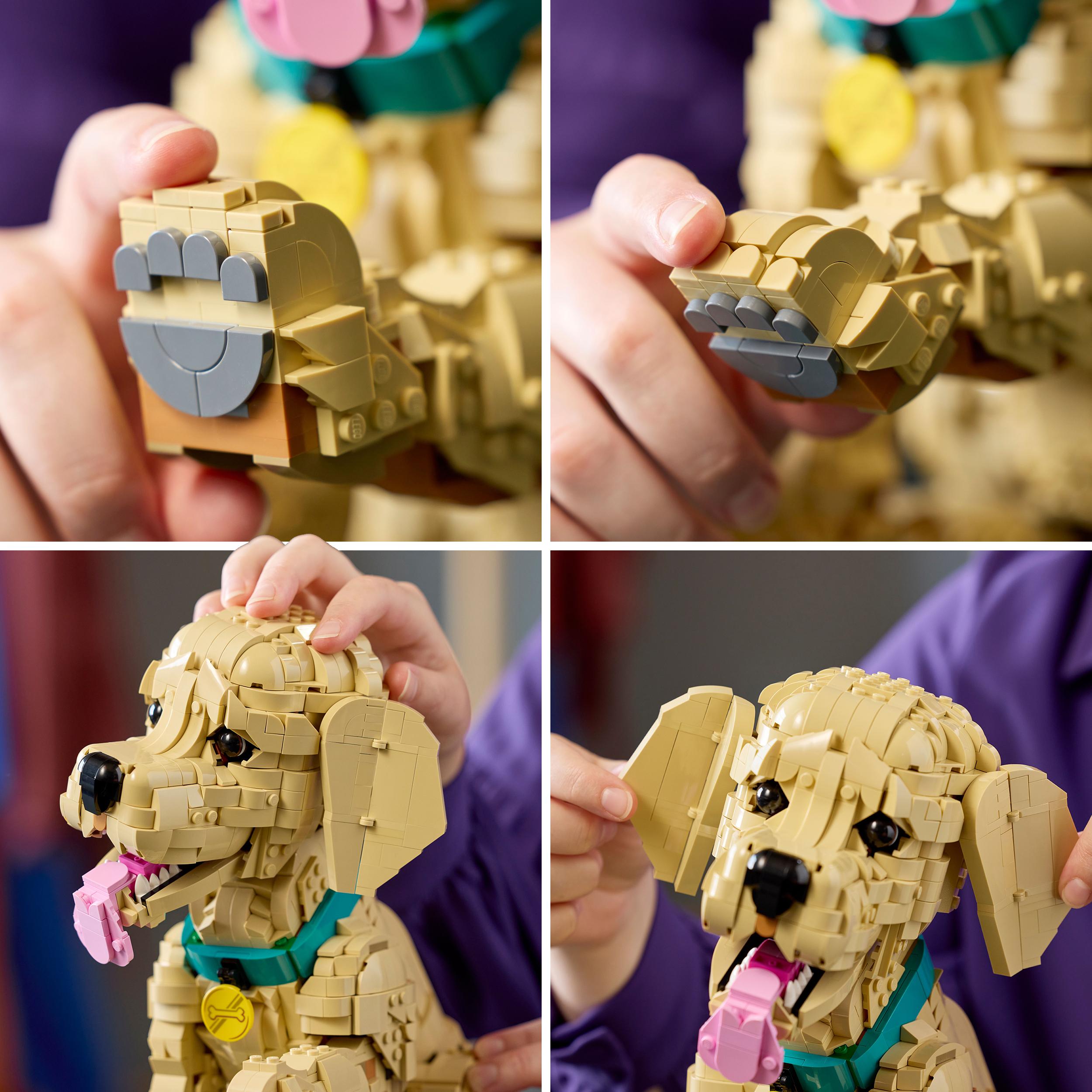 Voir la diapositive 6 : LEGO LEGO Icons 11384 Le Chiot Golden Retriever - Set pour Adulte - Maquette de Petit Chien