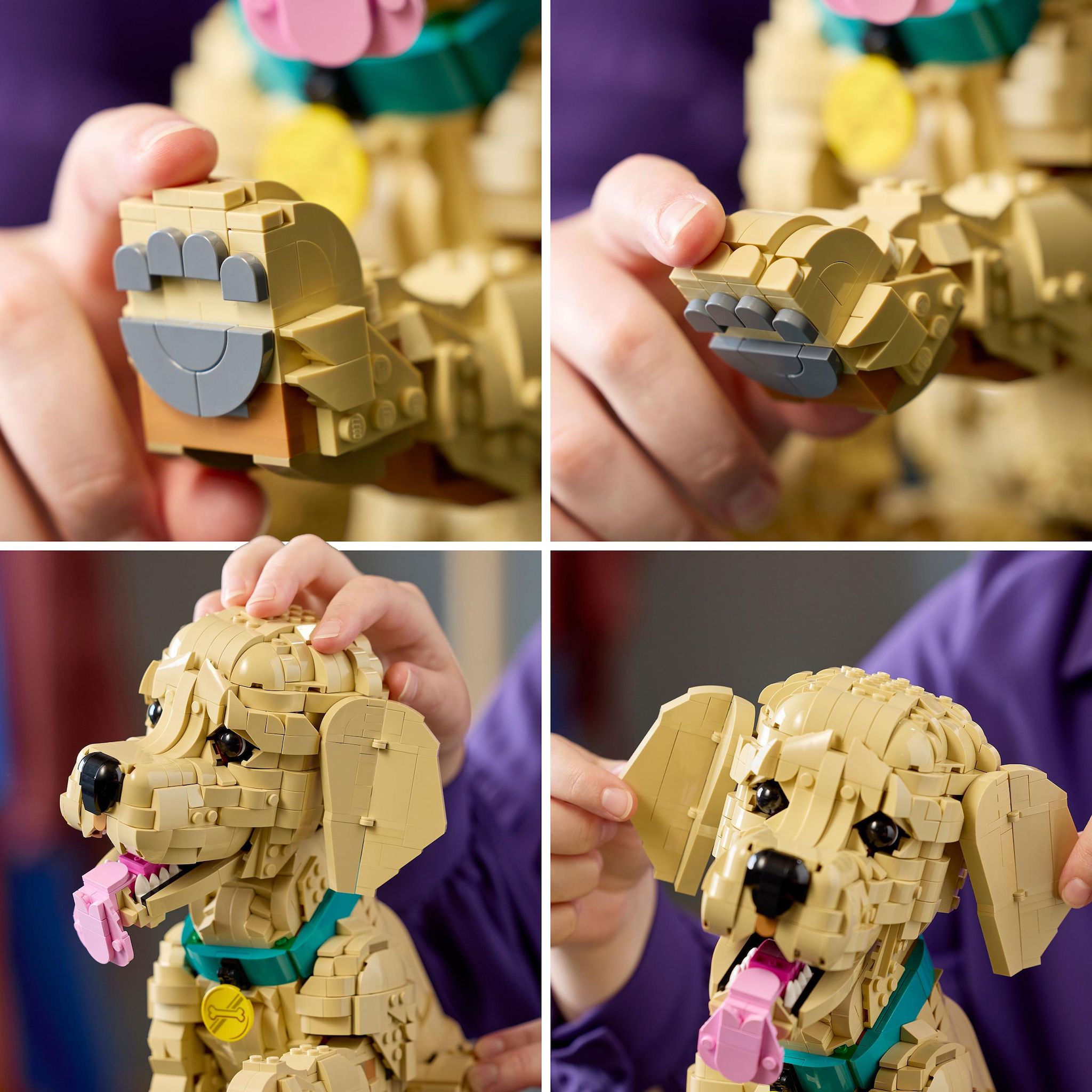 Voir la diapositive 6 : LEGO Icons 11384 - Le chiot Golden Retriever
