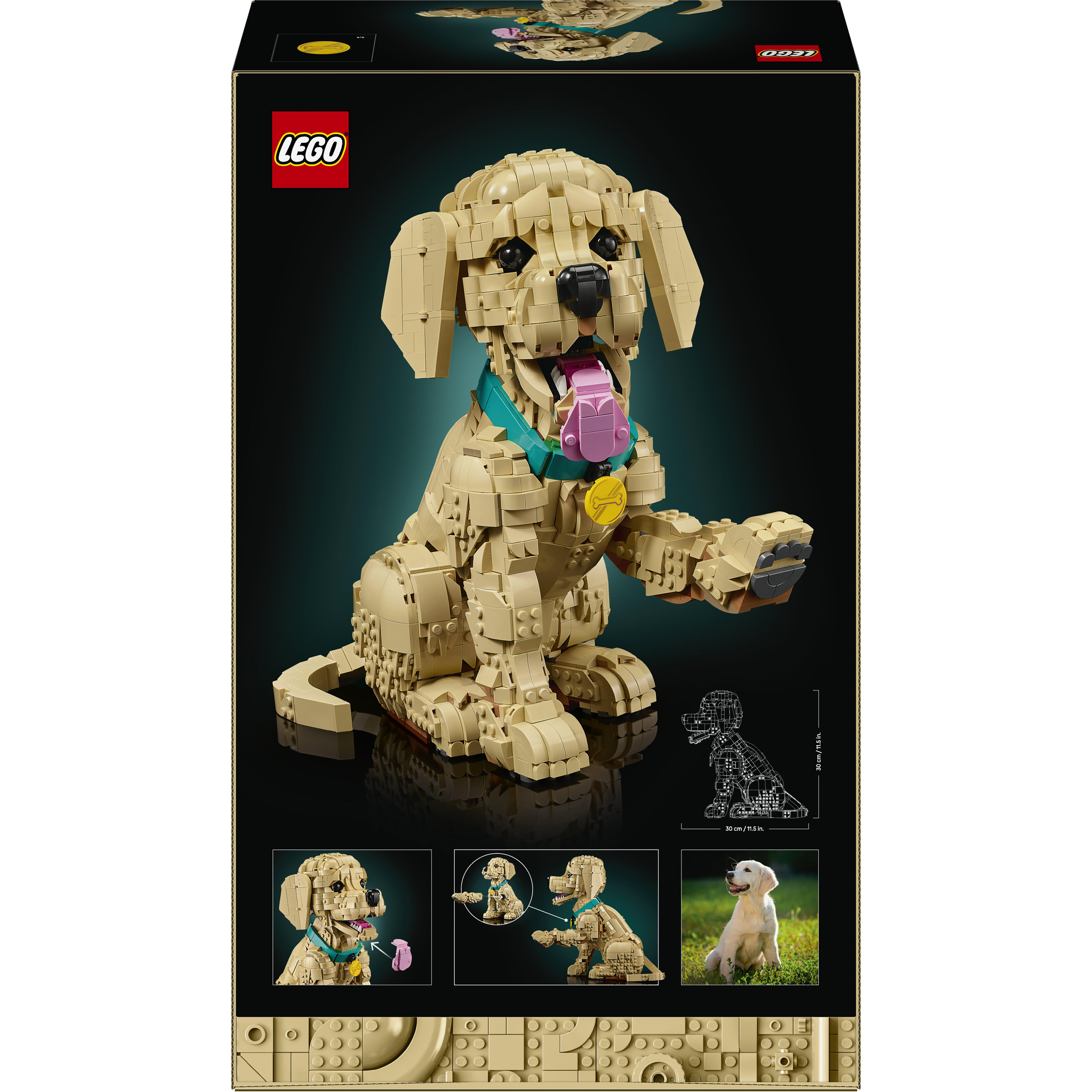 Voir la diapositive 7 : LEGO LEGO Icons 11384 Le Chiot Golden Retriever - Set pour Adulte - Maquette de Petit Chien