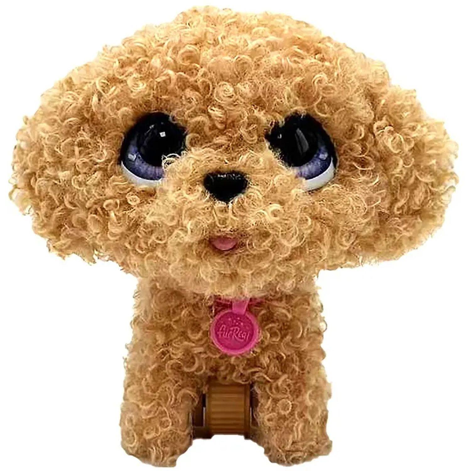 Voir la diapositive 2 : JUST PLAY Peluche Caniche Interactif Furreal