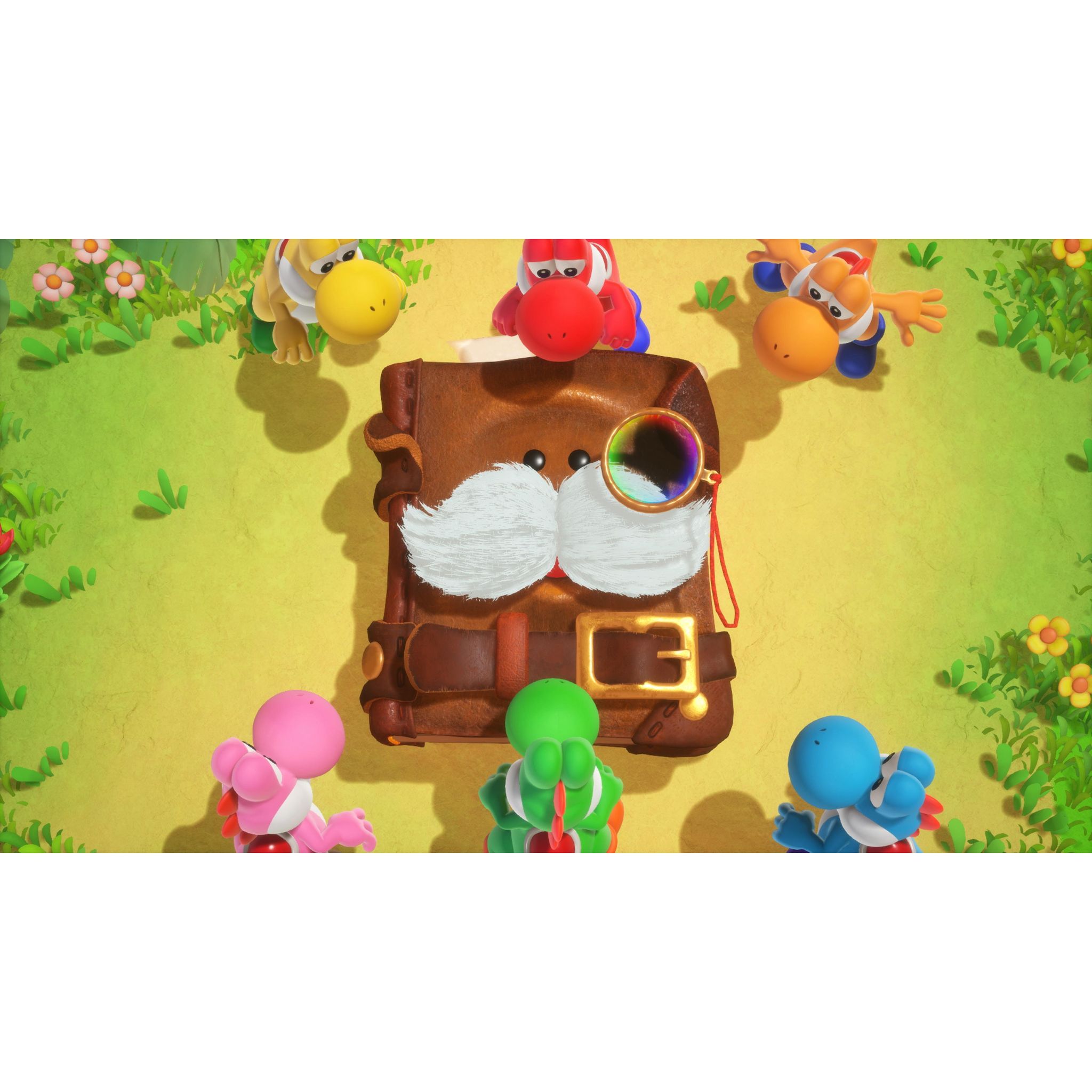 Voir la diapositive 5 : NINTENDO Jeu Yoshi and The Mysterious Book