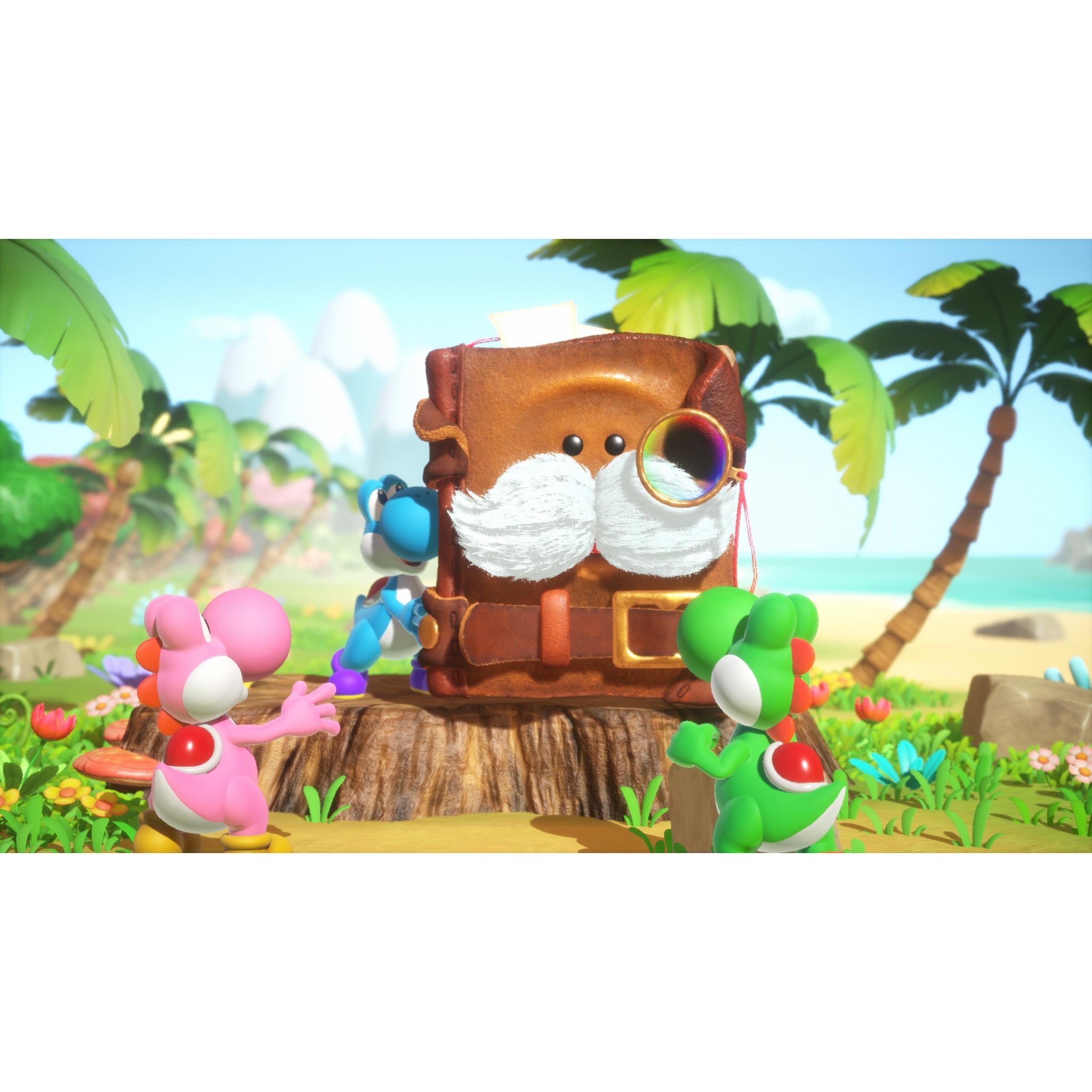 Voir la diapositive 7 : NINTENDO Jeu Yoshi and The Mysterious Book