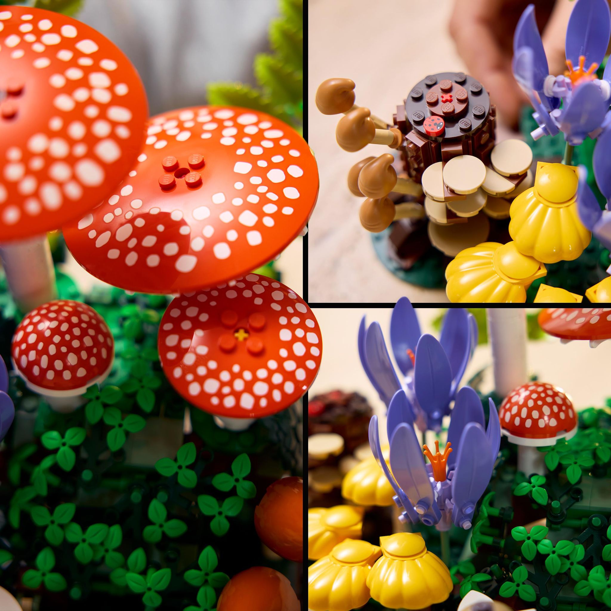 Voir la diapositive 5 : LEGO Botanicals 11505 Les Champignons des Bois - Set pour Adulte - Plantes Artificielles
