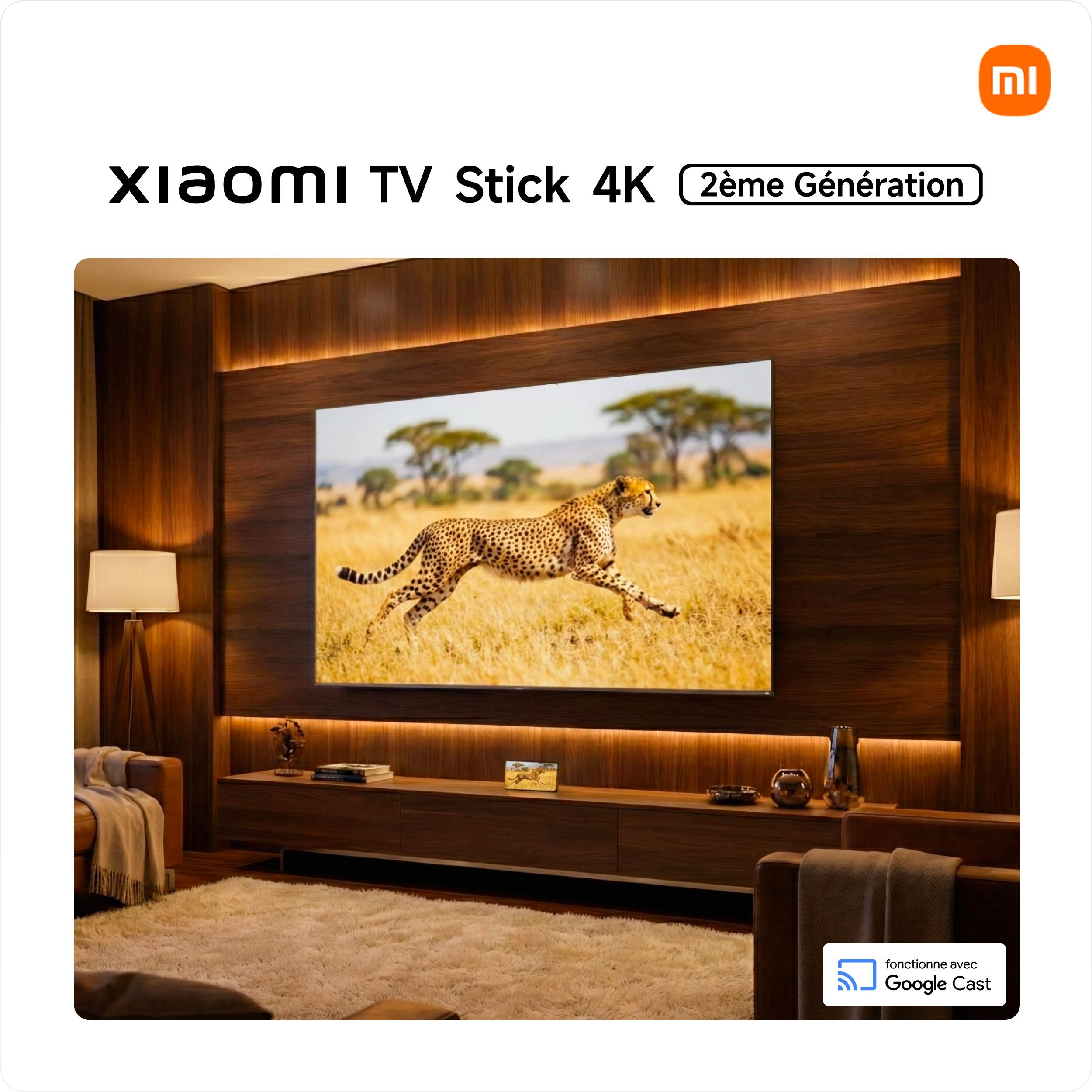 Voir la diapositive 8 : XIAOMI Stick TV 4K OB6-EU