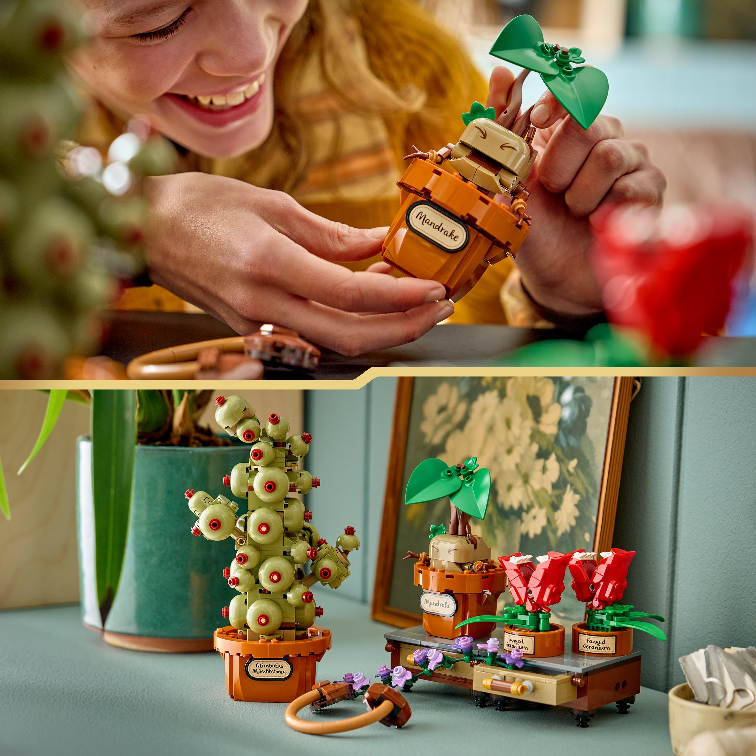 Voir la diapositive 6 : LEGO LEGO Harry Potter 76474 Les Plantes du Cours de Botanique de Poudlard - Jeu Créatif 12 ans