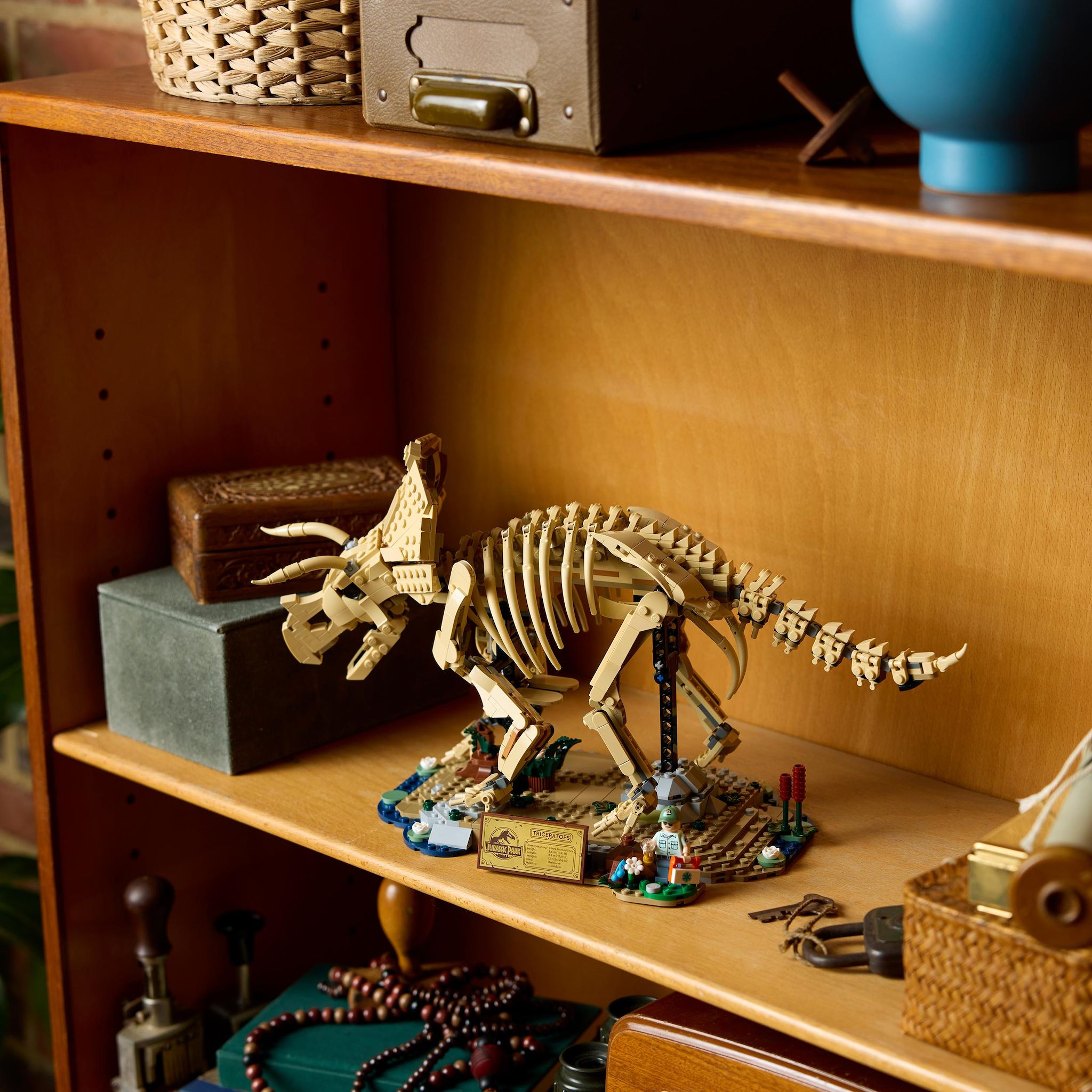 Voir la diapositive 4 : LEGO Jurassic World 77985 -Les fossiles de dinosaures : Le Tricératops