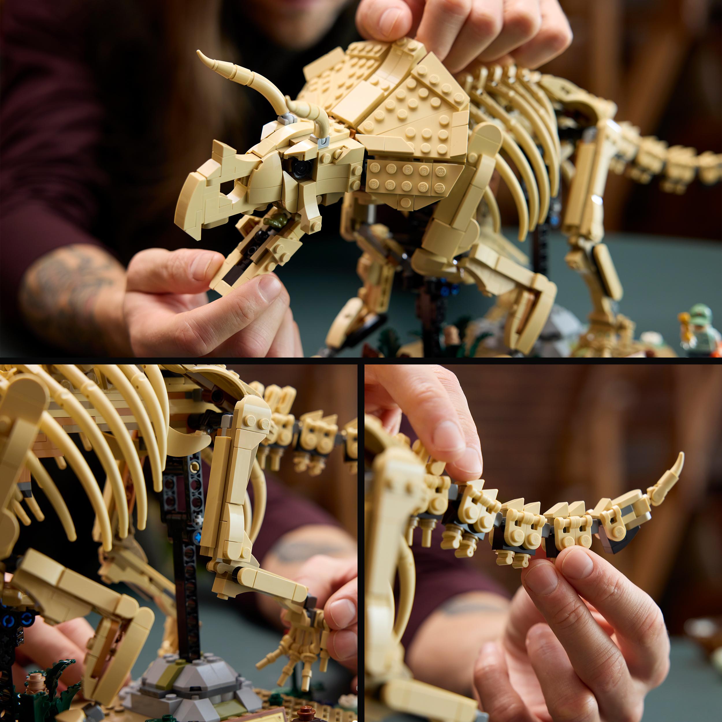 Voir la diapositive 5 : LEGO LEGO Jurassic World 77985 Les Fossiles de Dinosaure : le Tricératops - Set pour Adulte