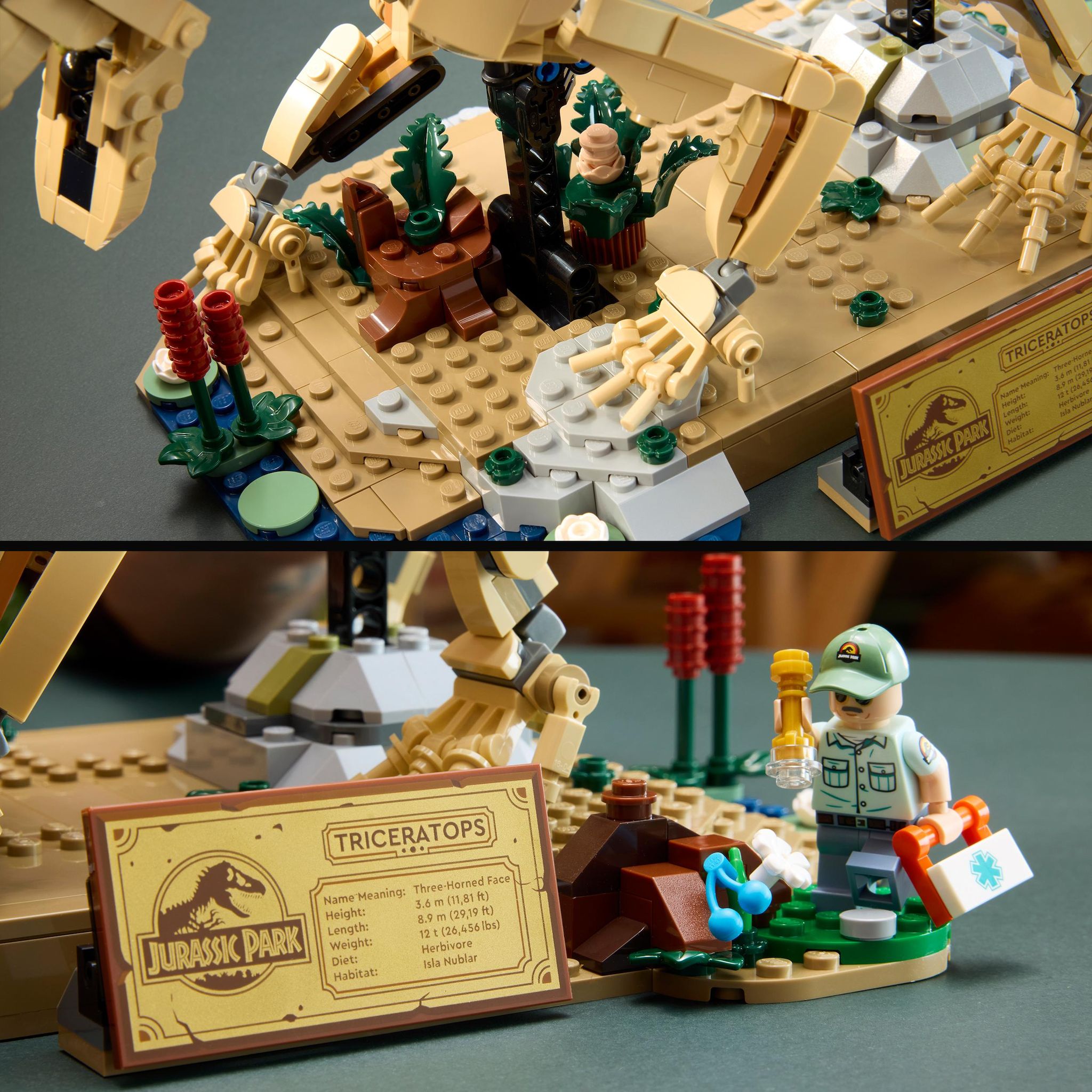 Voir la diapositive 6 : LEGO Jurassic World 77985 -Les fossiles de dinosaures : Le Tricératops