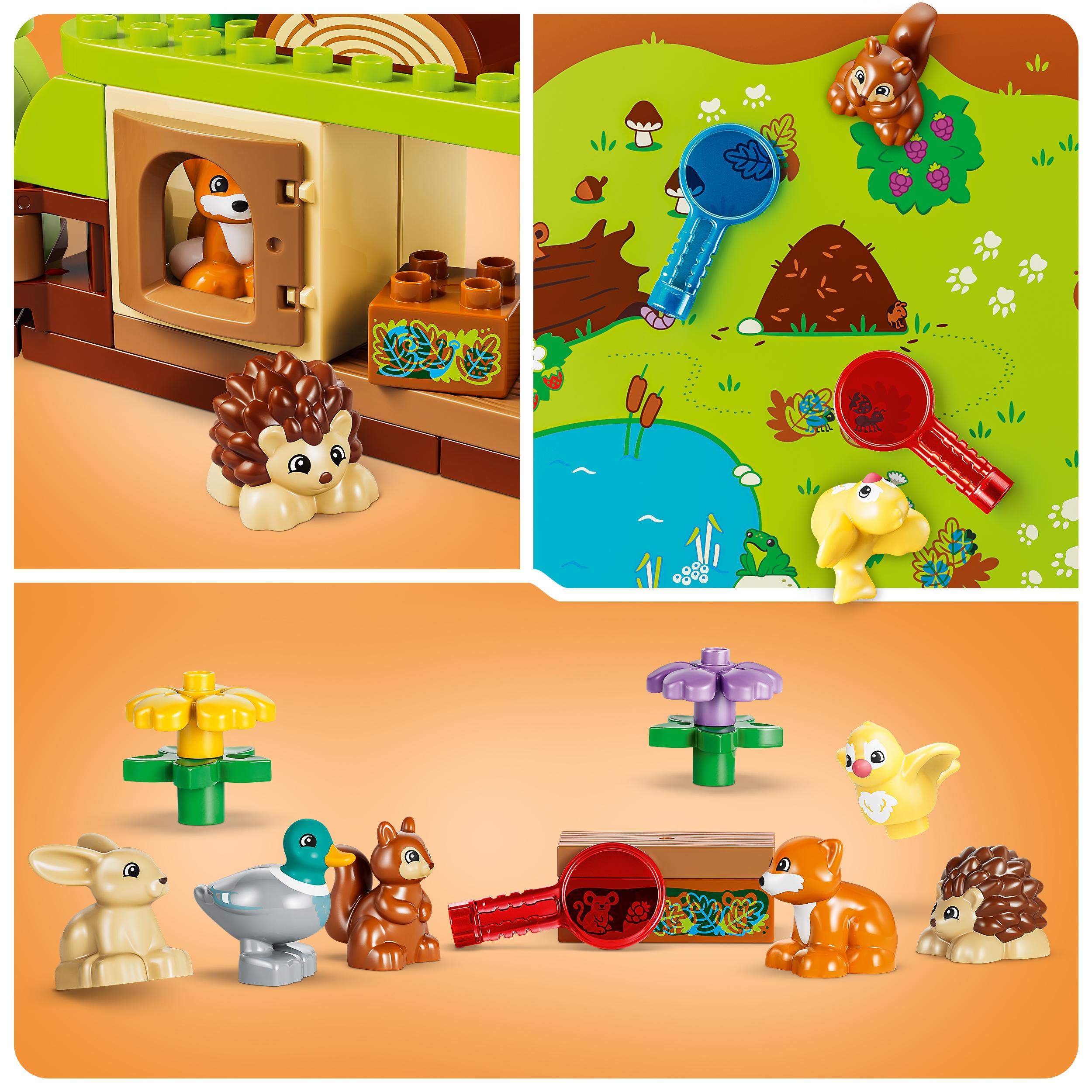 Voir la diapositive 5 : LEGO LEGO DUPLO 10480 Découverte de la Forêt avec des Animaux Sauvages - Jeu Éducatif dès 3 ans