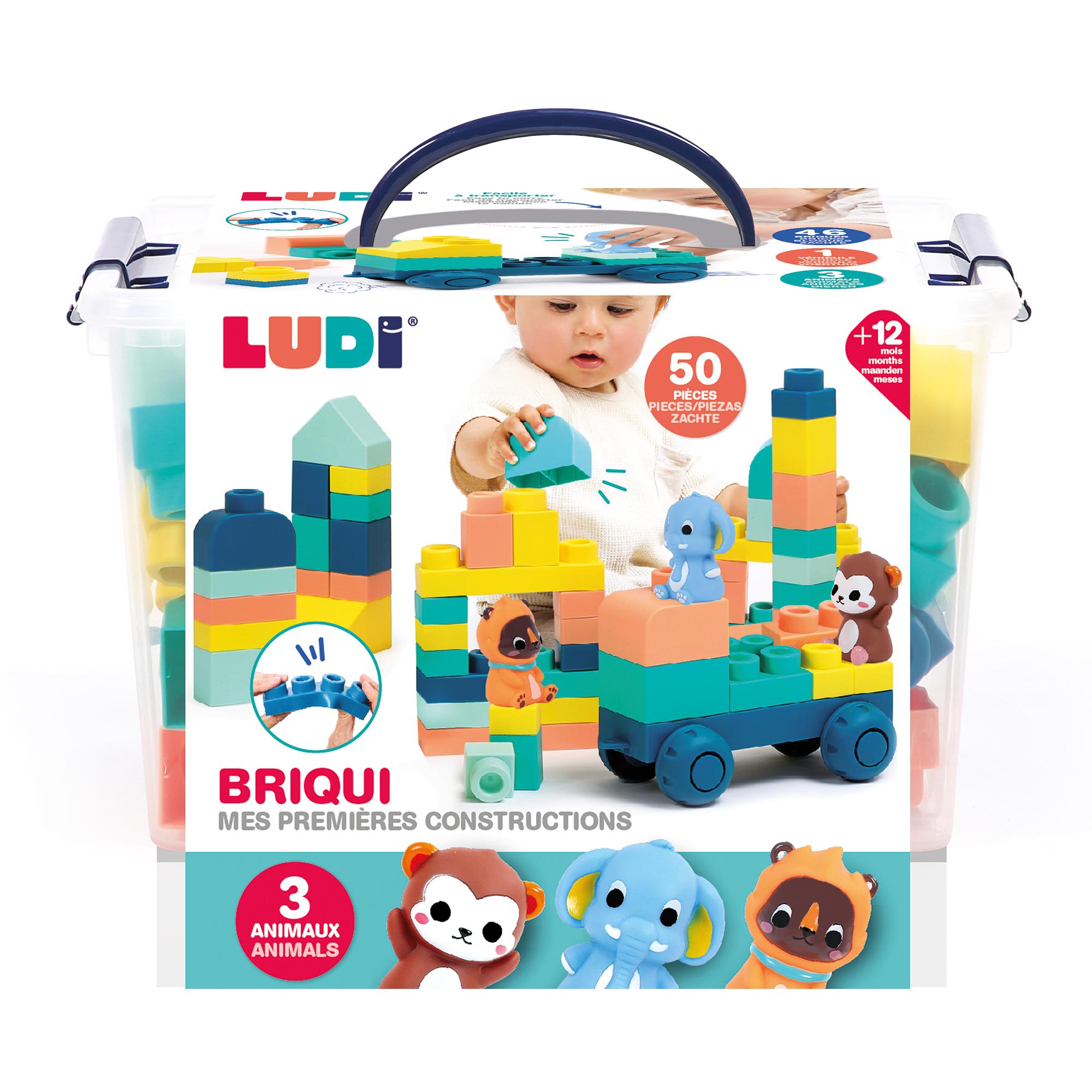 Mes premières constructions Maxi Briqui