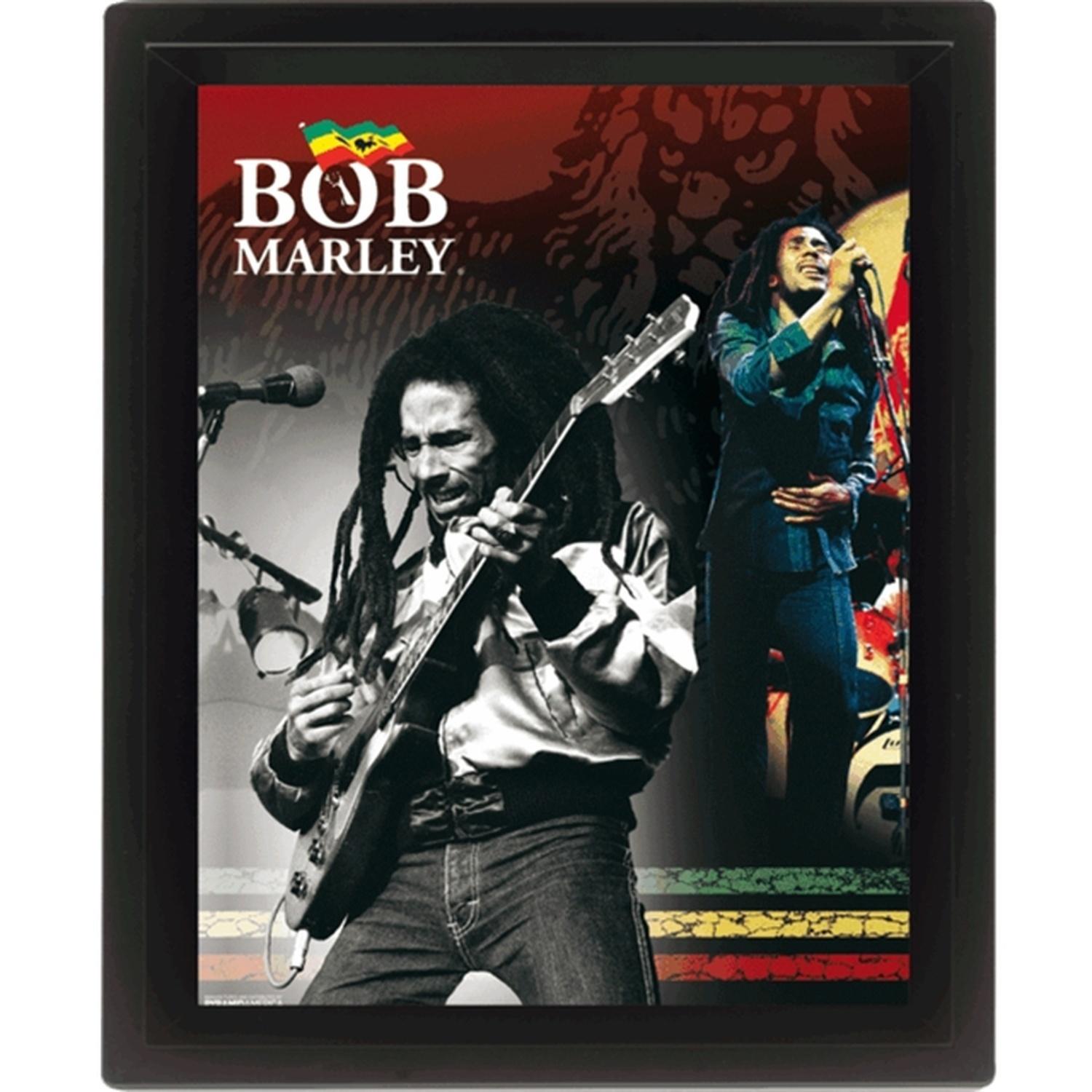 WTT Cadre 3D Bob Marley