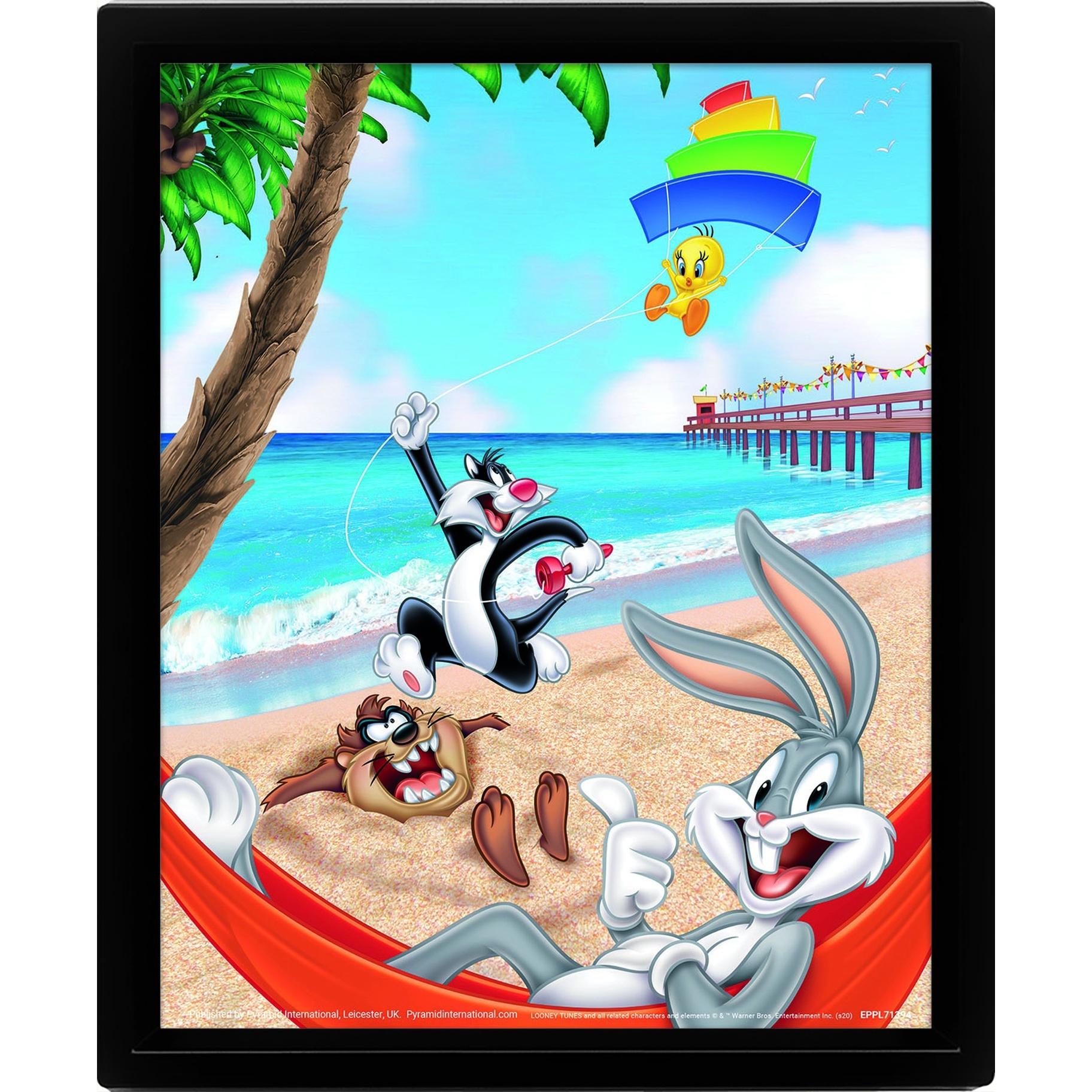 WTT Cadre 3D lenticulaire Beach Day Looney Tunes