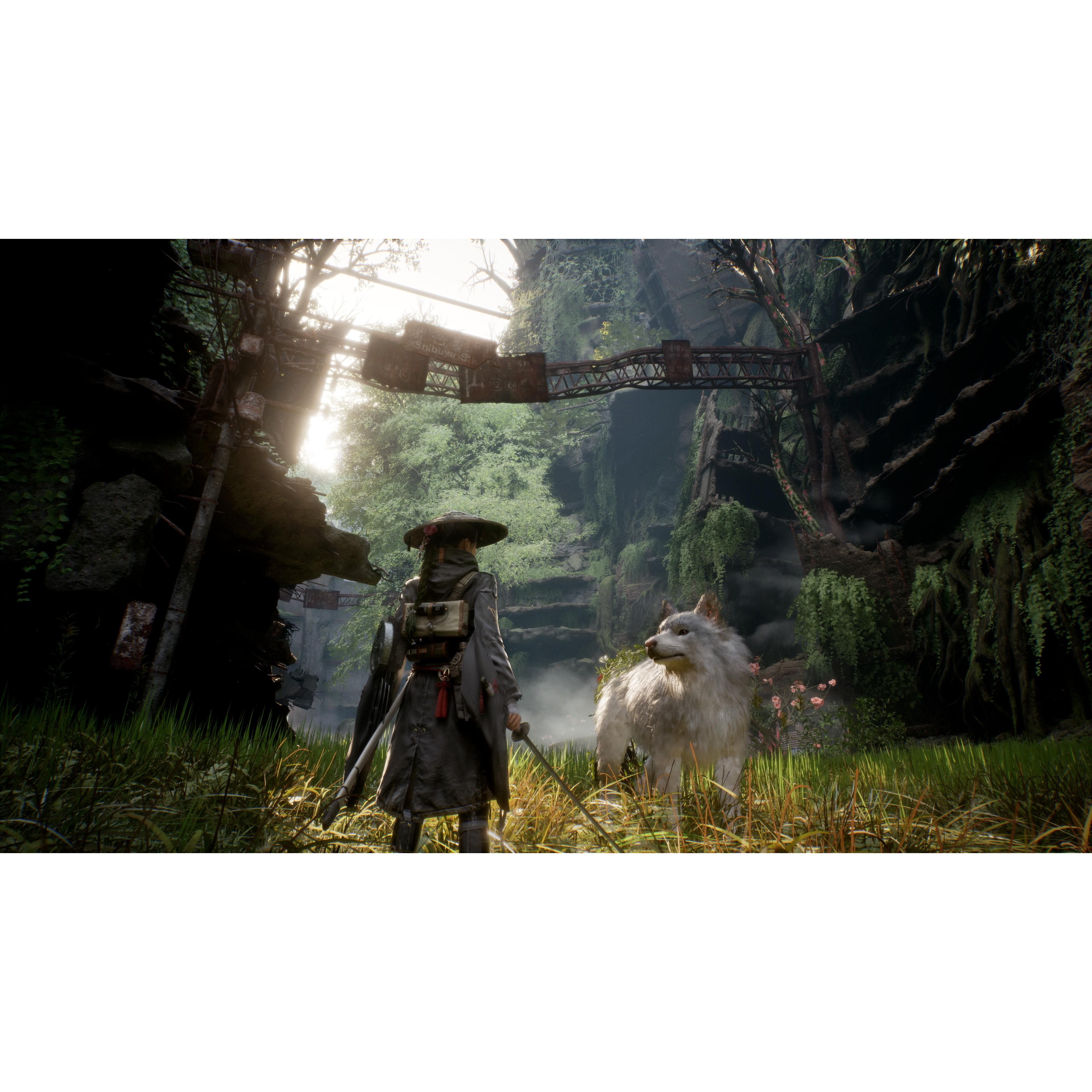 Voir la diapositive 2 : Beast of Reincarnation Xbox Series X