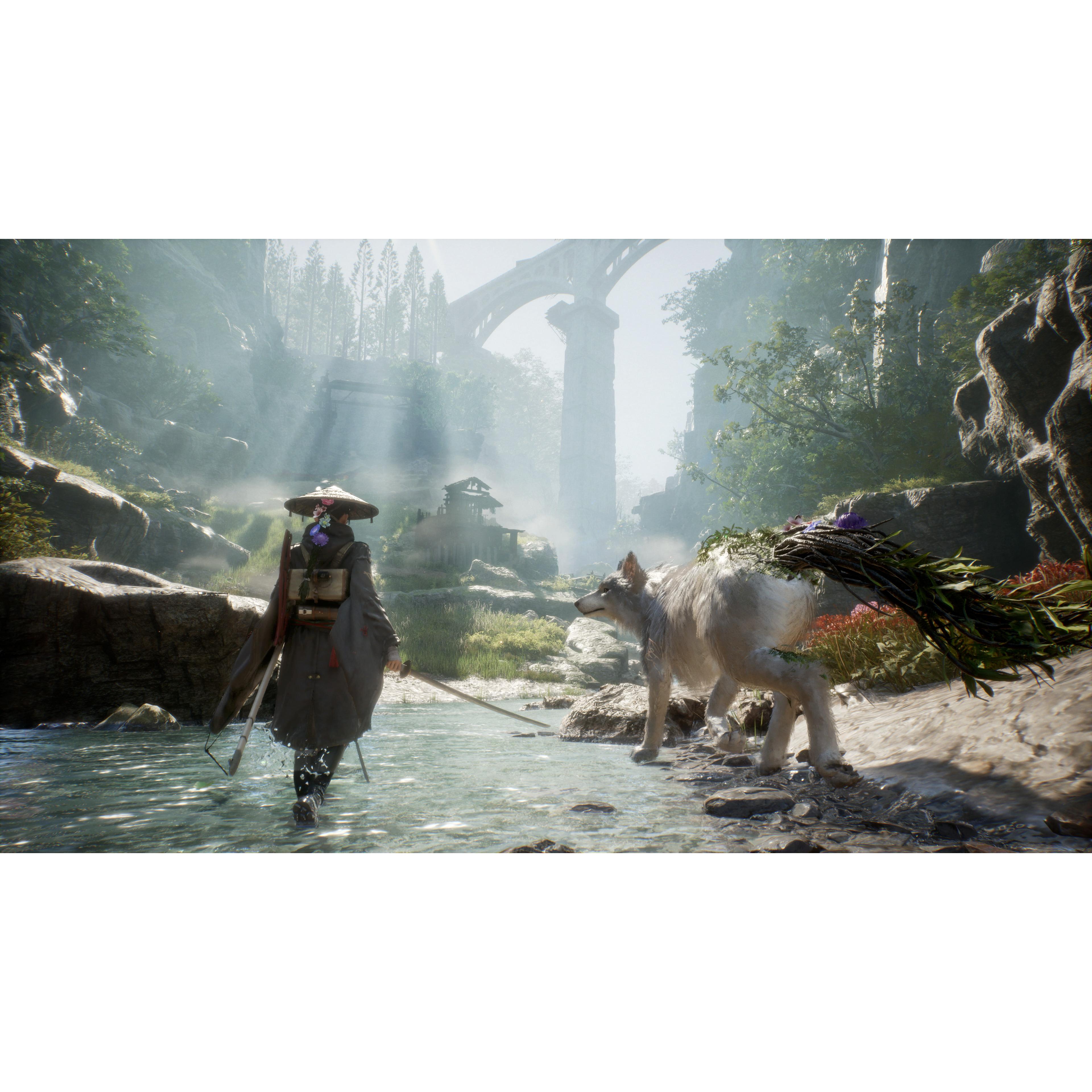 Voir la diapositive 4 : Beast of Reincarnation Xbox Series X