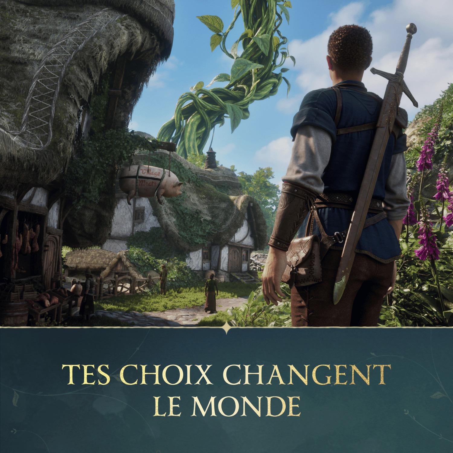 Voir la diapositive 5 : Fable Xbox Series X