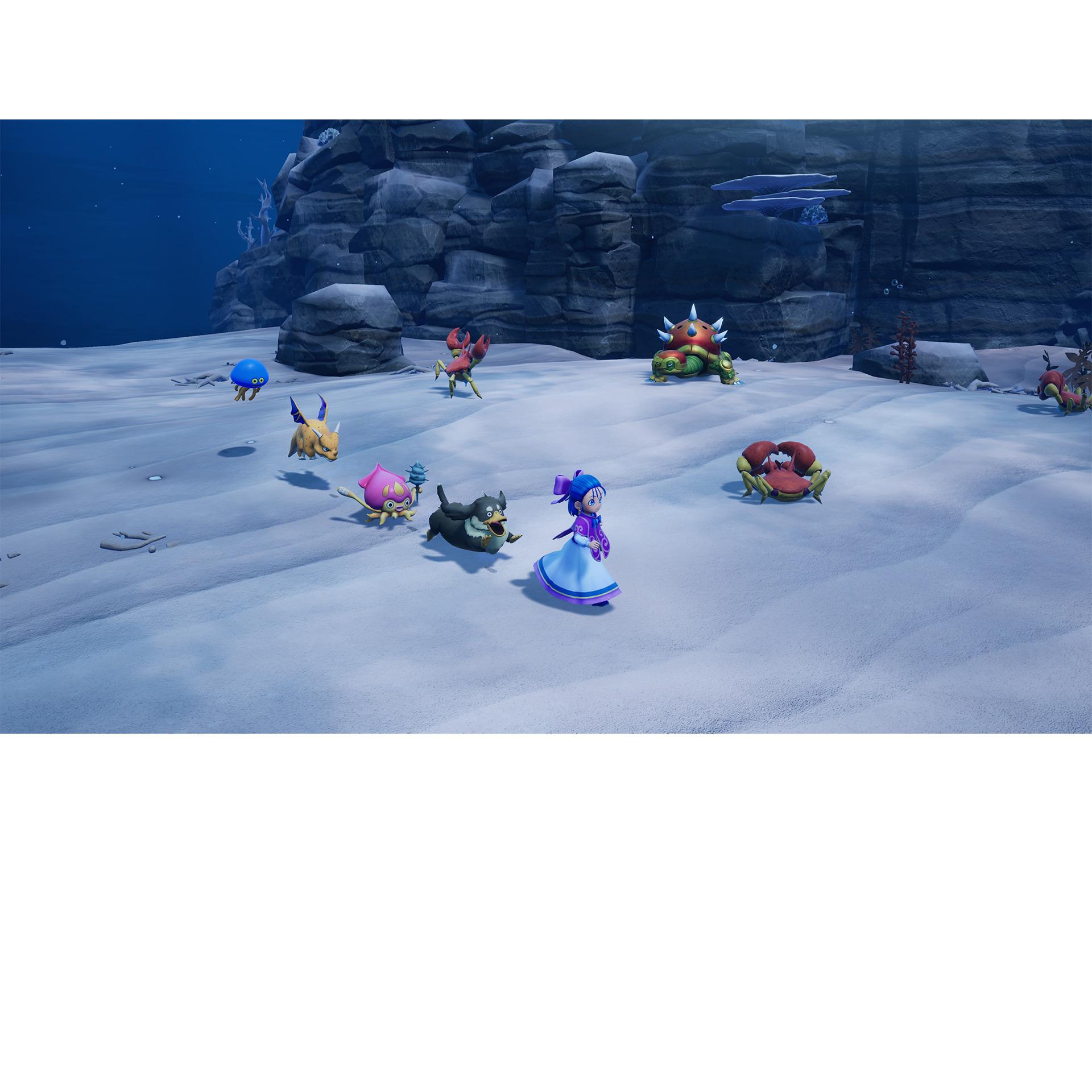 Voir la diapositive 2 : Dragon Quest Monsters Le Royaume De Boisflétri PS5