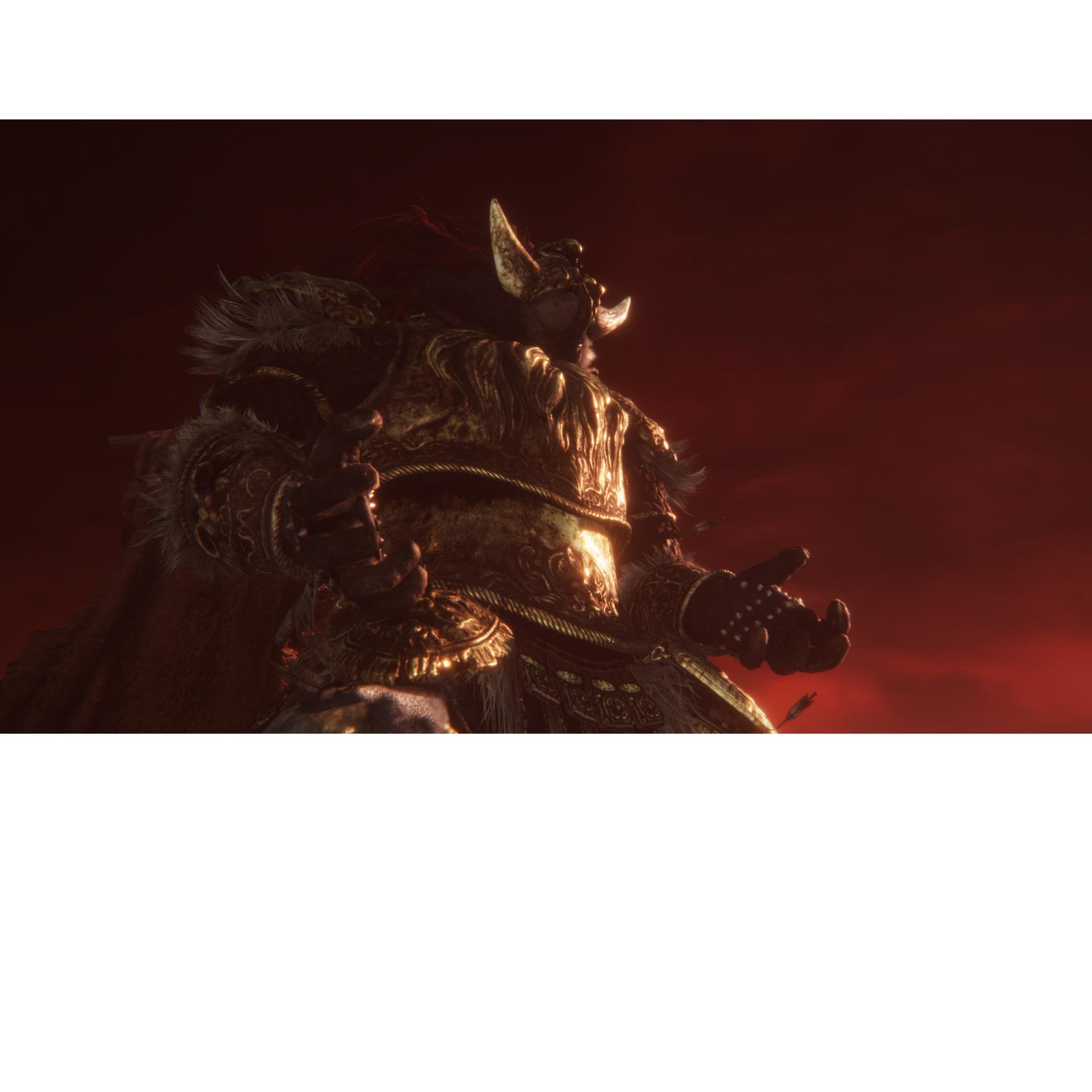Voir la diapositive 3 : Elden Ring Tarnished Edition Nintendo Switch 2