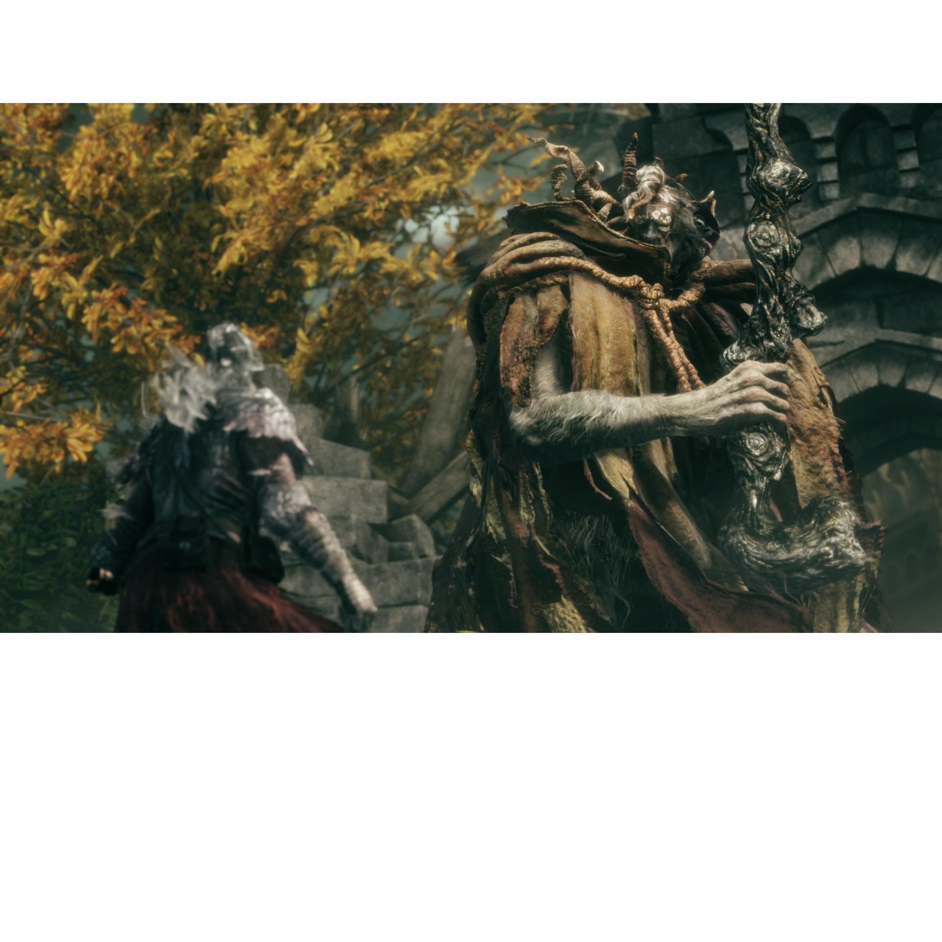 Voir la diapositive 5 : Elden Ring Tarnished Edition Nintendo Switch 2