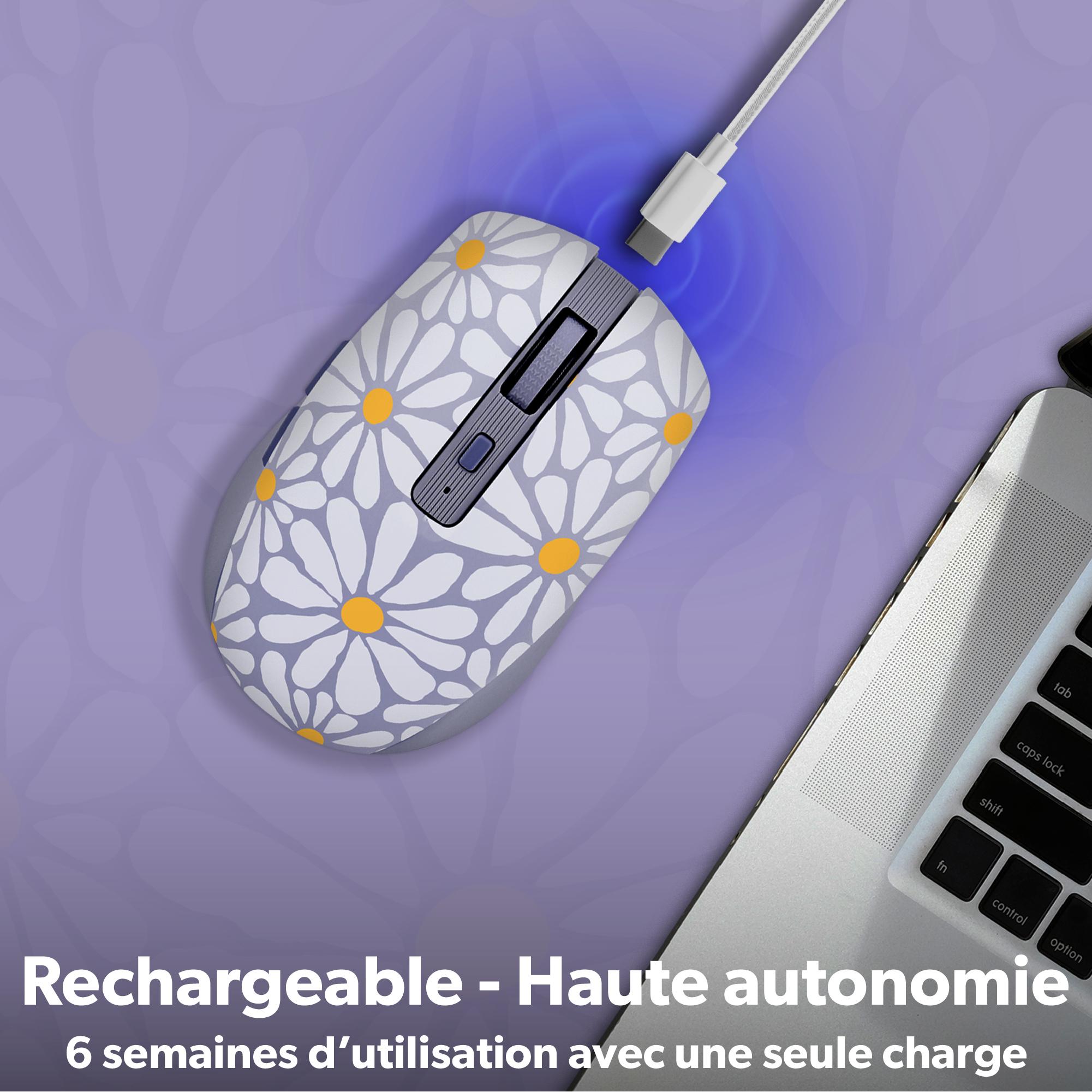 Voir la diapositive 6 : TNB Souris sans fil Flower