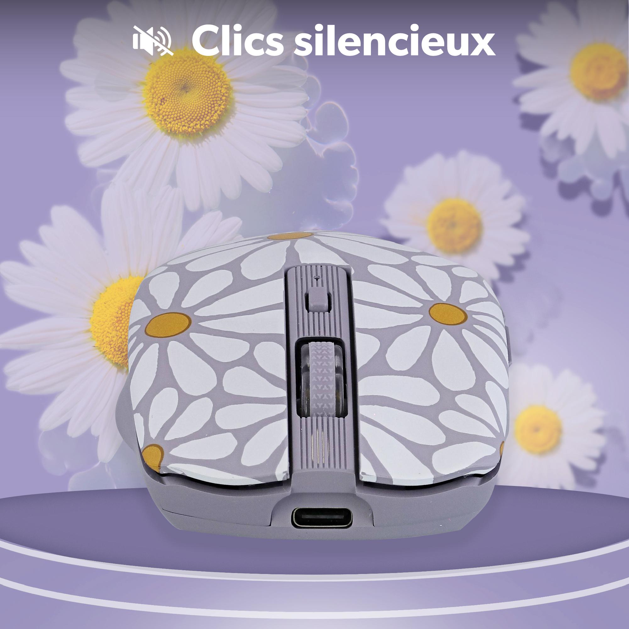 Voir la diapositive 9 : TNB Souris sans fil Flower